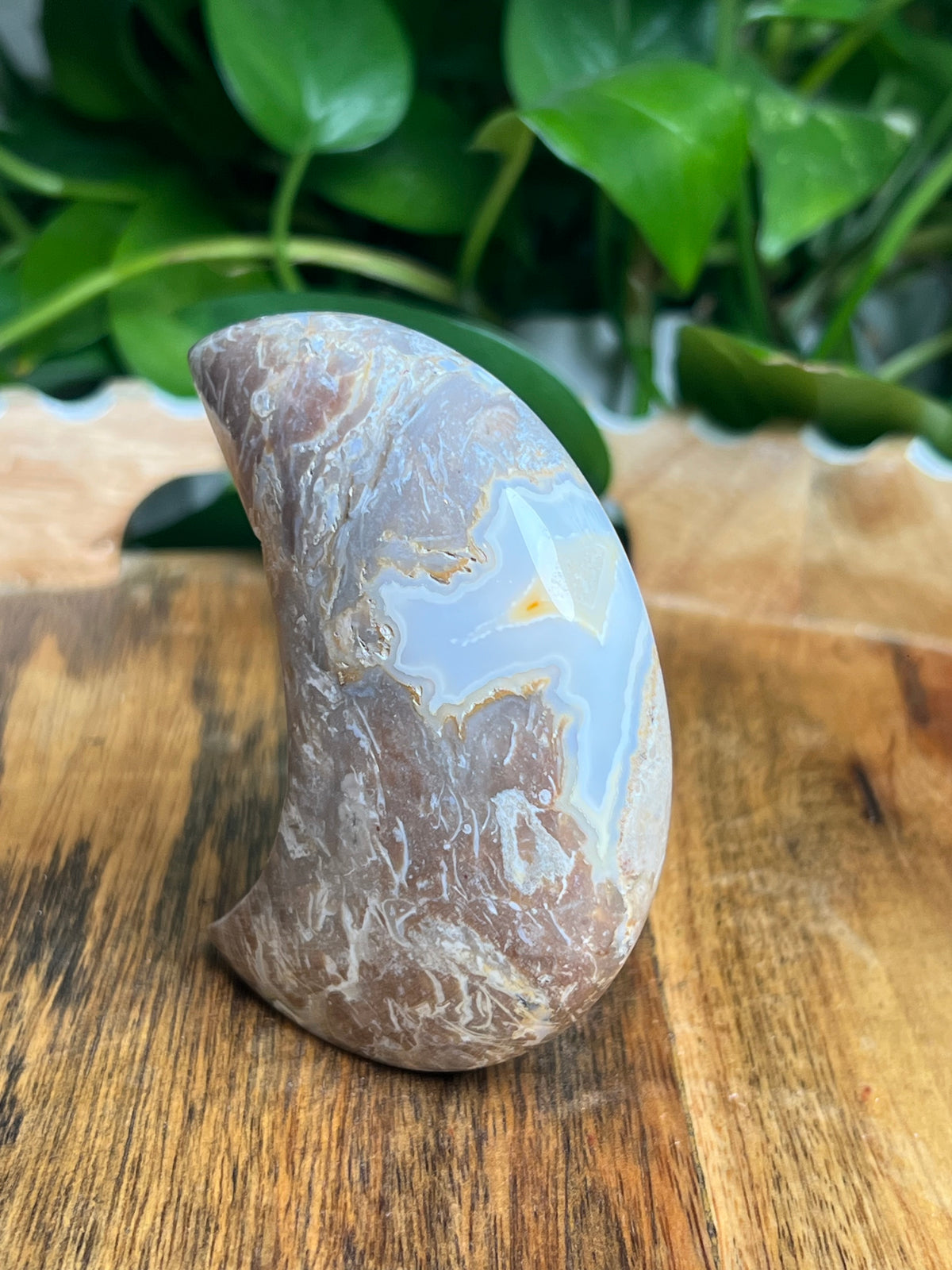 Sumatra Plume Agate Self-Standing Moon: NC