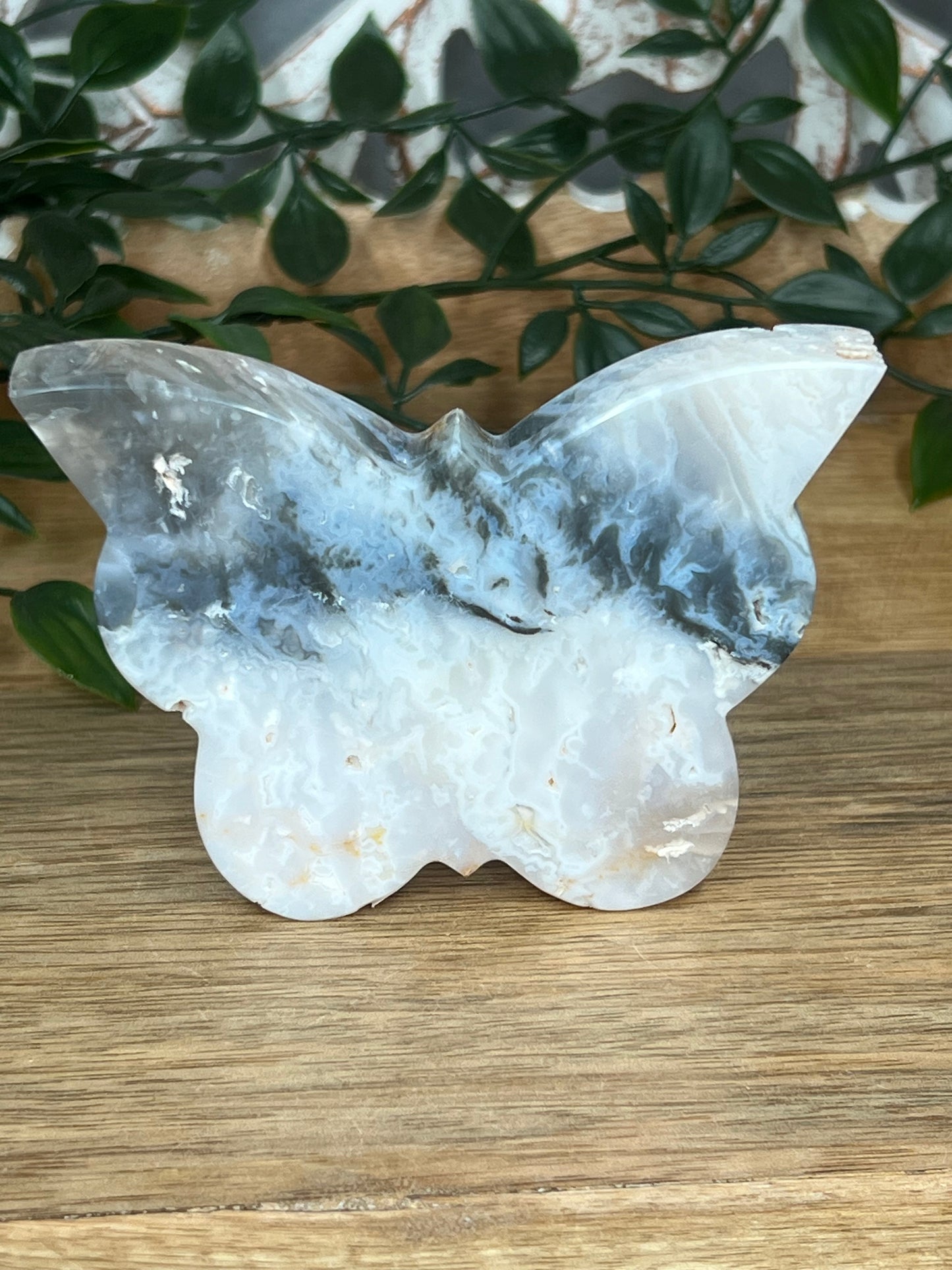 Rainbow Plume Agate Butterfly