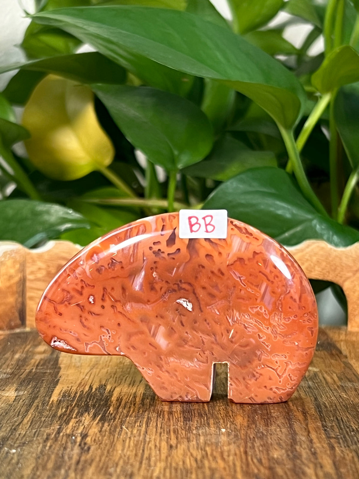 Red Carnelian Bears