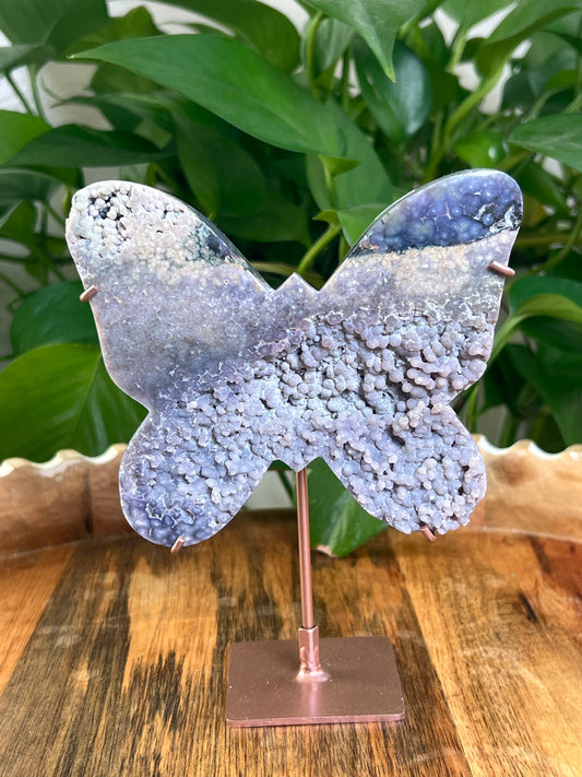 Grape Agate Butterfly: PX