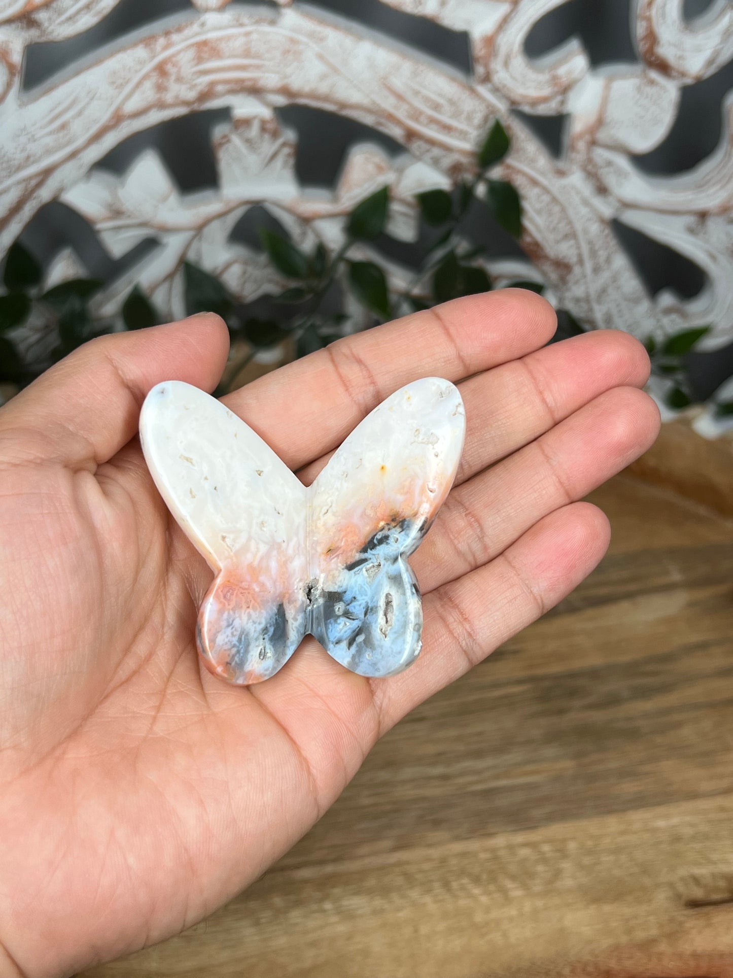 Rainbow Plume Agate 3D Butterfly