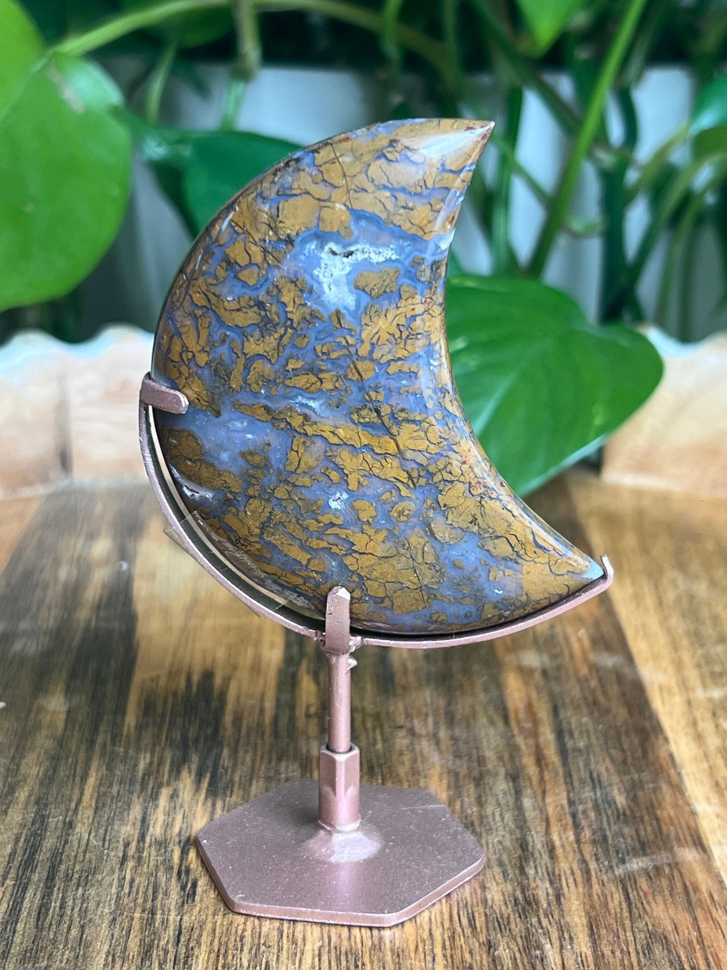Brecciated Jasper Moon: BX