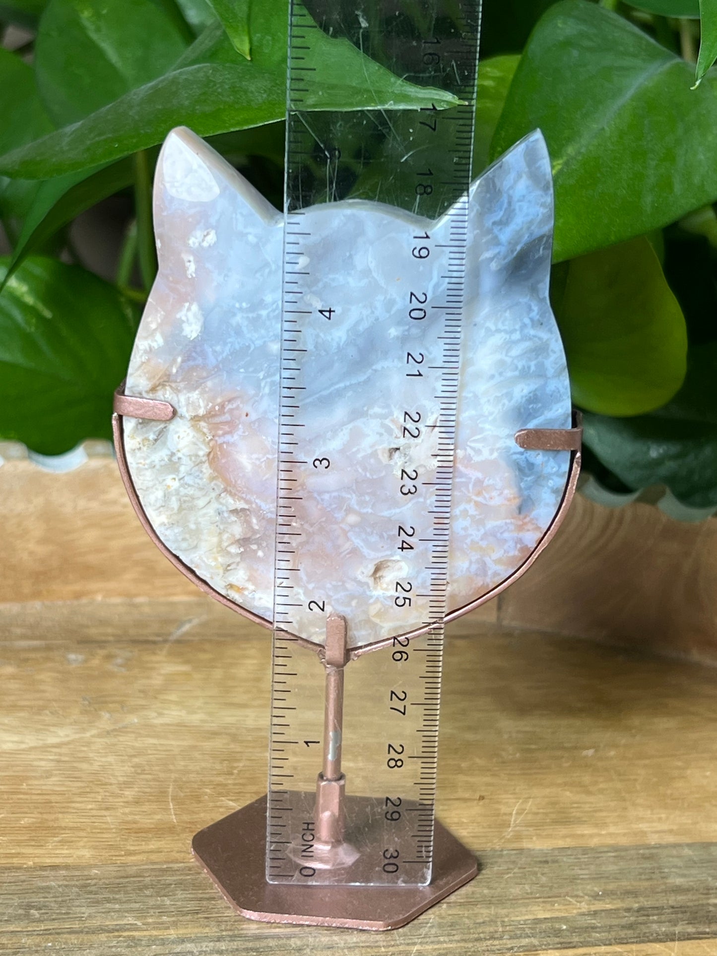 Rainbow Plume Agate Cat Head
