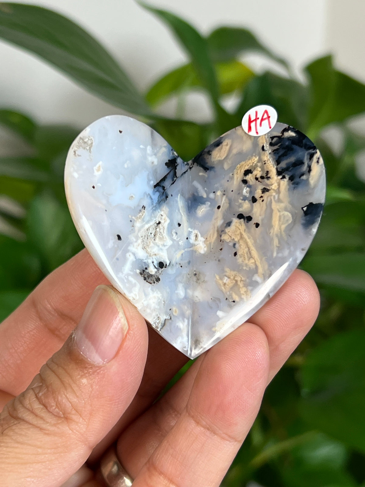 Dendritic Tiger Agate 3D Butterflies