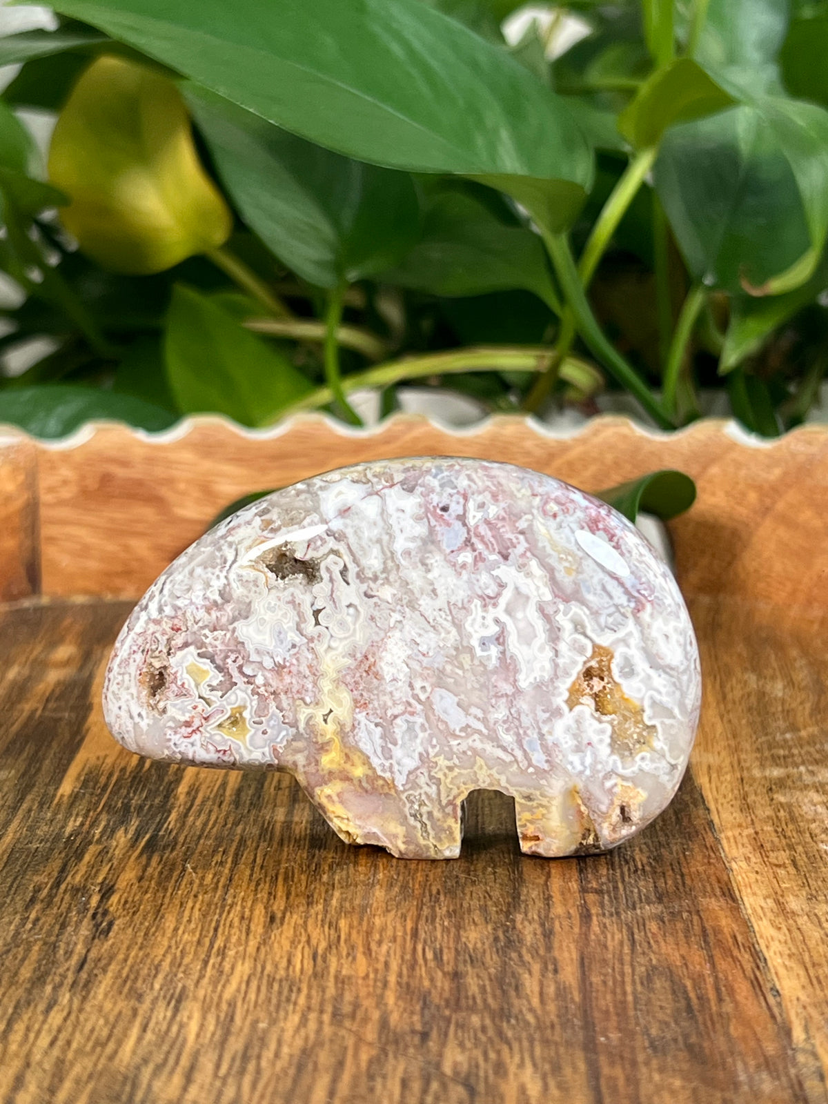 Sumatra Plume Agate Bears