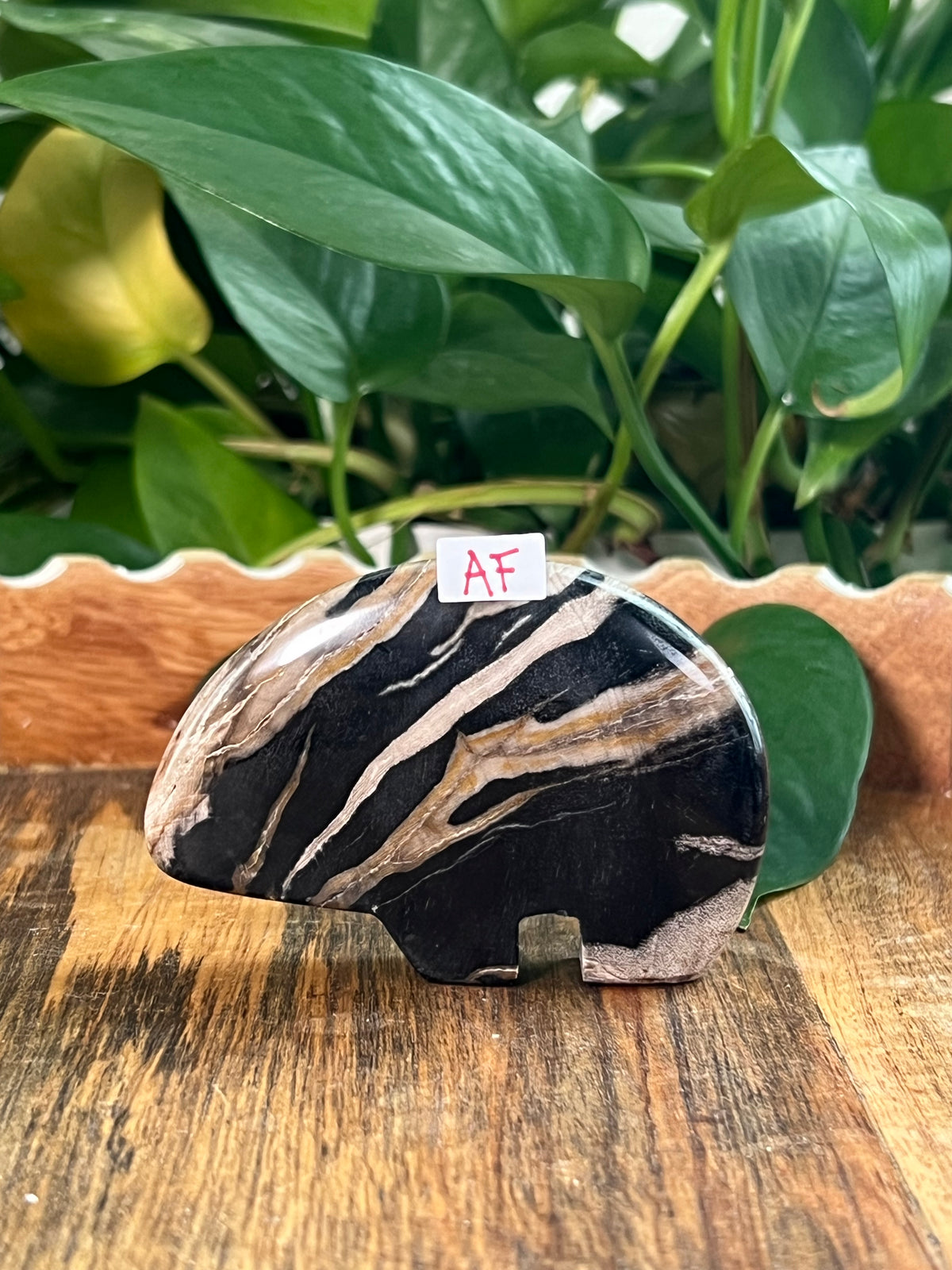 Fossil Wood Bears