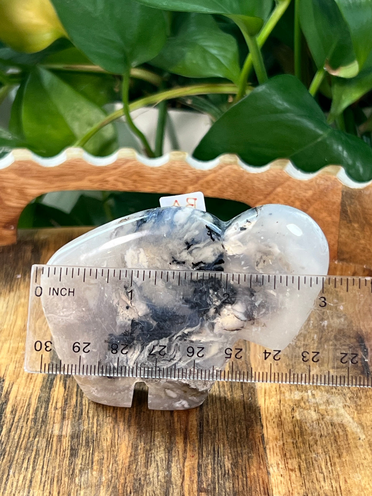 Dendritic Tiger Agate Buffalos