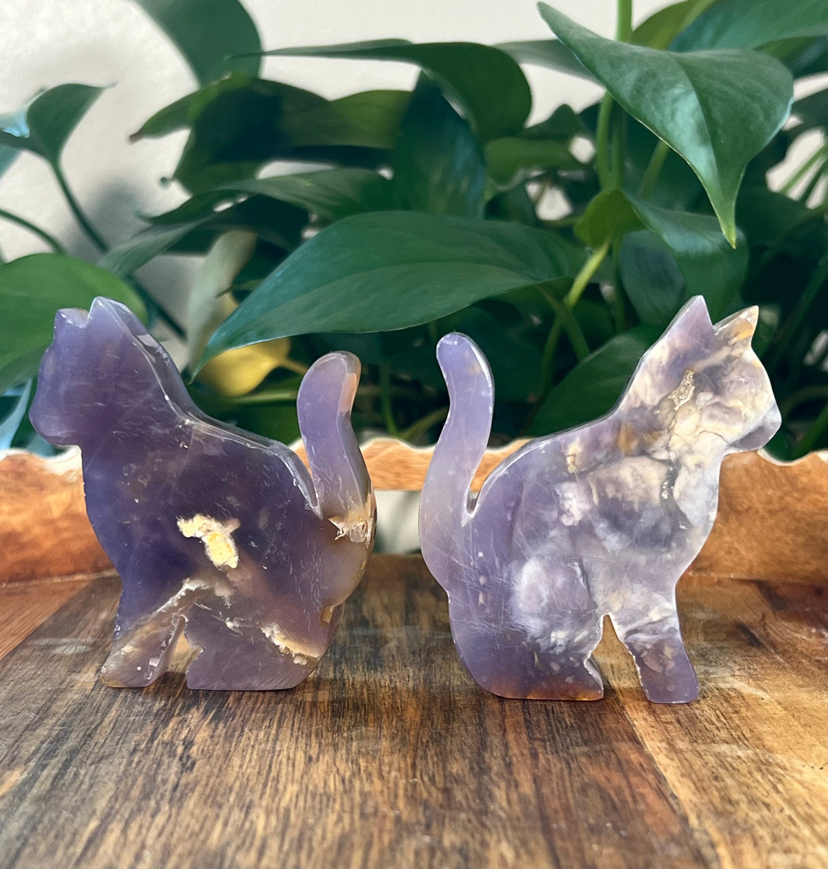 Purple Chalcedony Cats