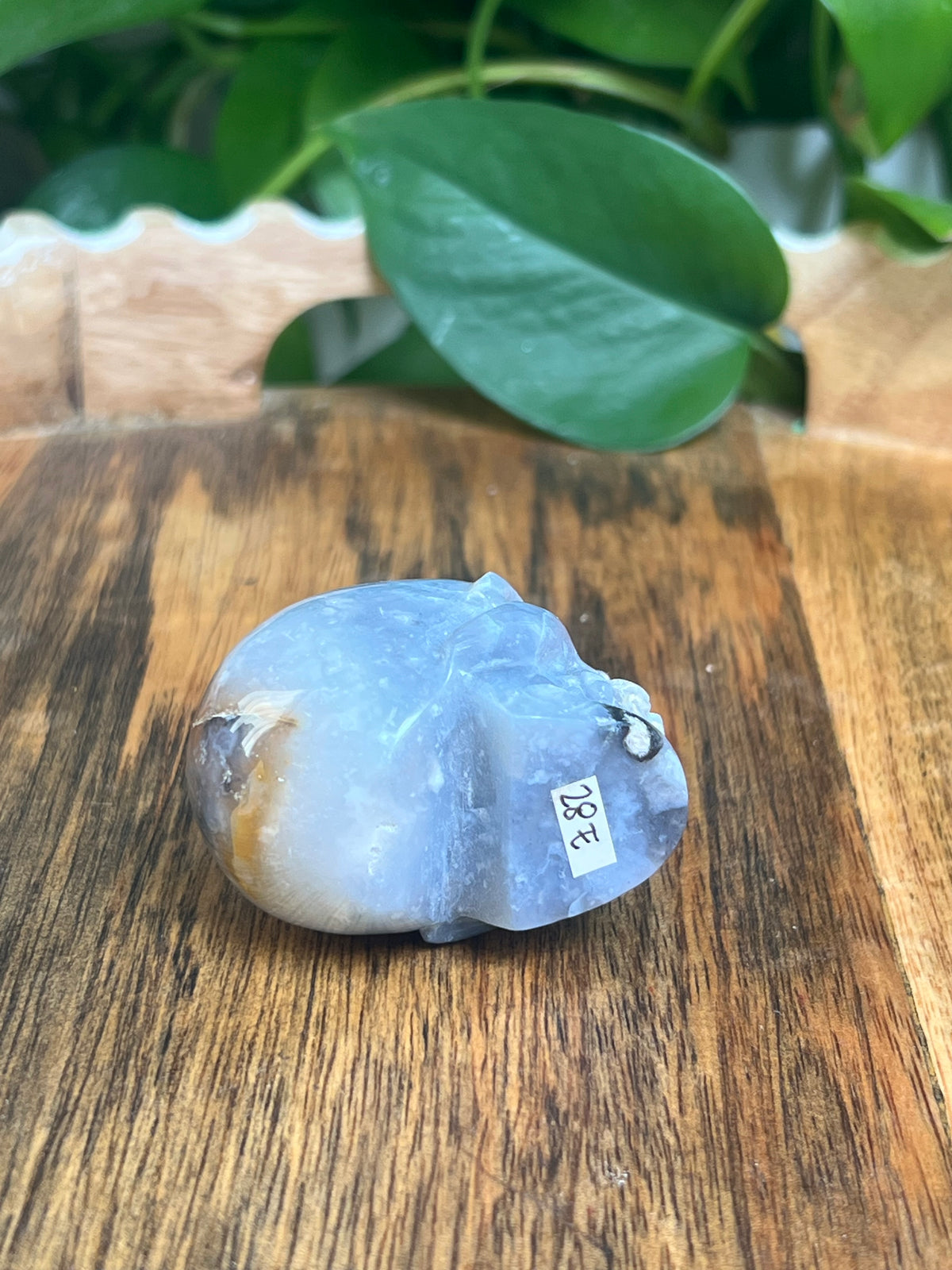Blue Plume Agate Skull: E