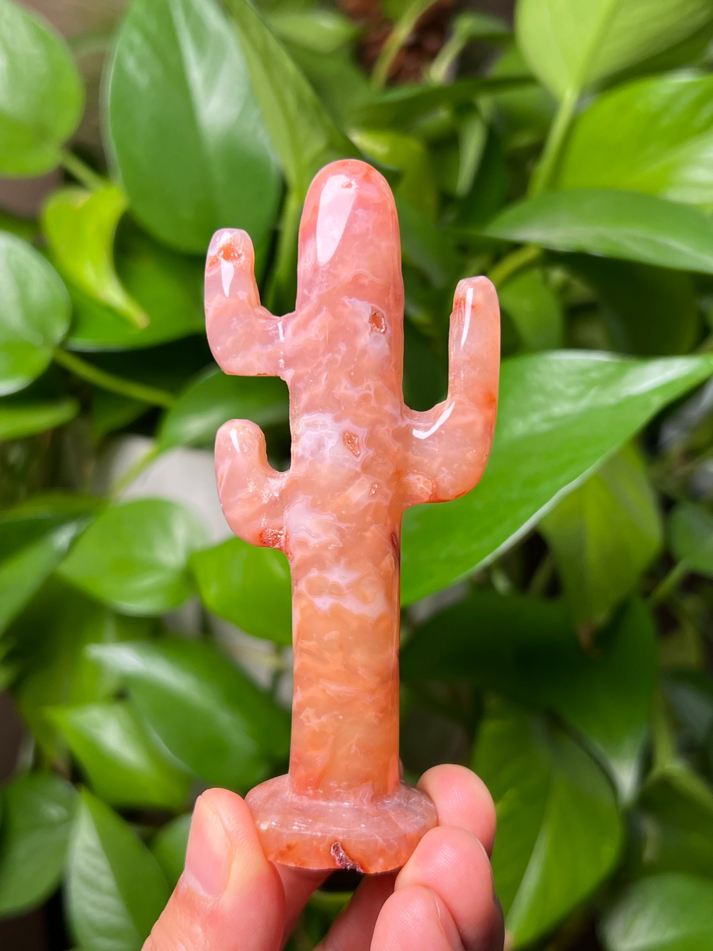 Pink Carnelian Cactus