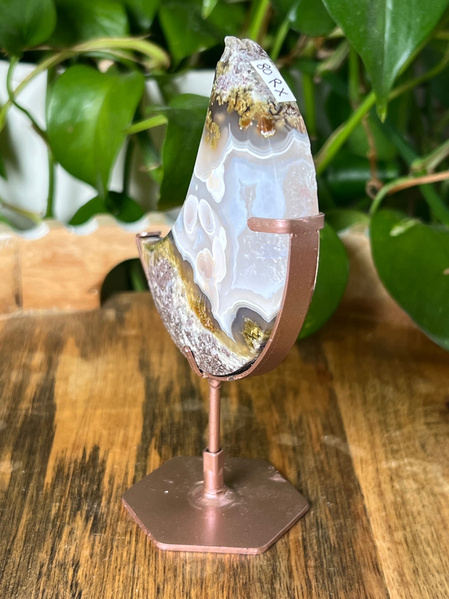 Scenic Moss Agate Moon
