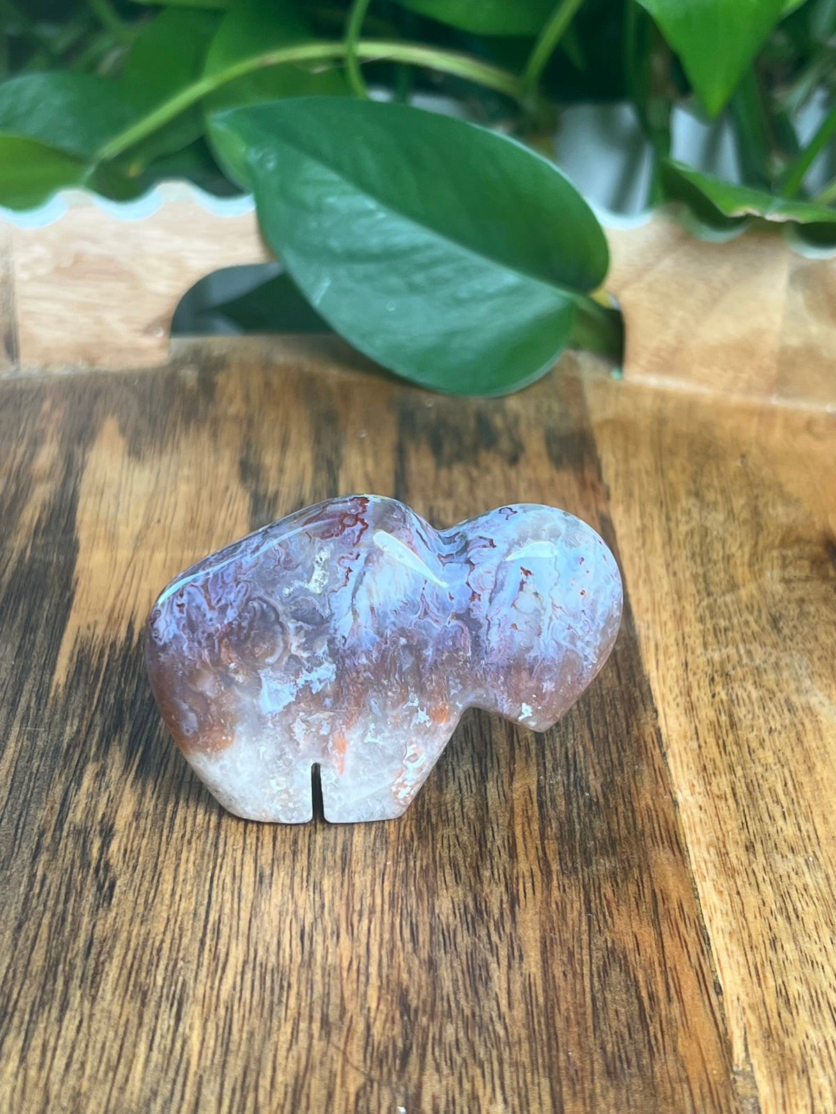 Sumatra Plume Agate Mini Buffalo: DH