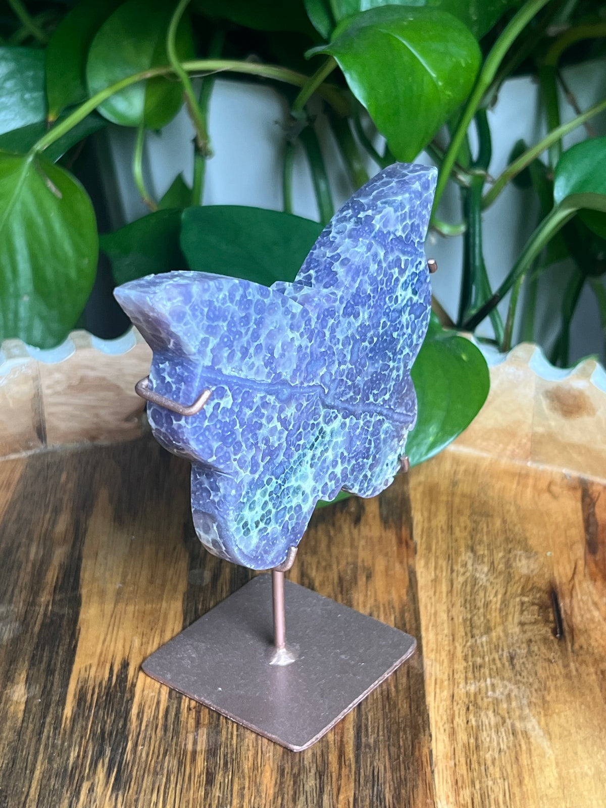 Grape Agate Butterfly: AZ
