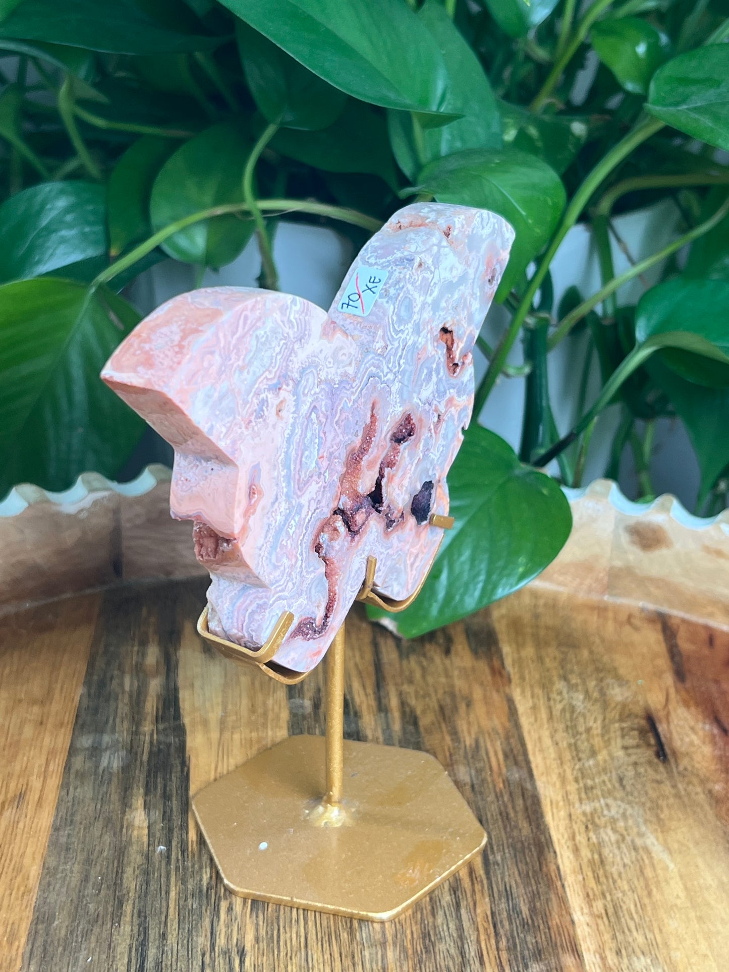 Crazy Lace Agate Butterfly: XE
