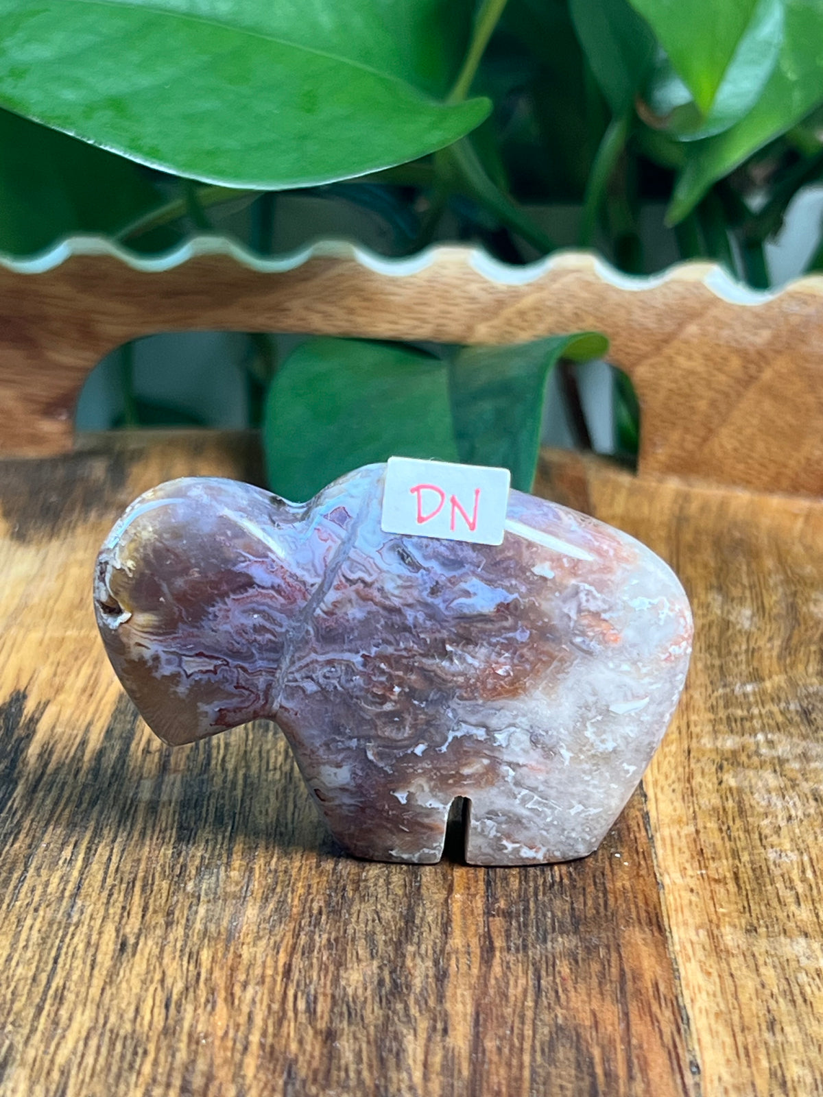 Sumatra Plume Agate Mini Buffalos
