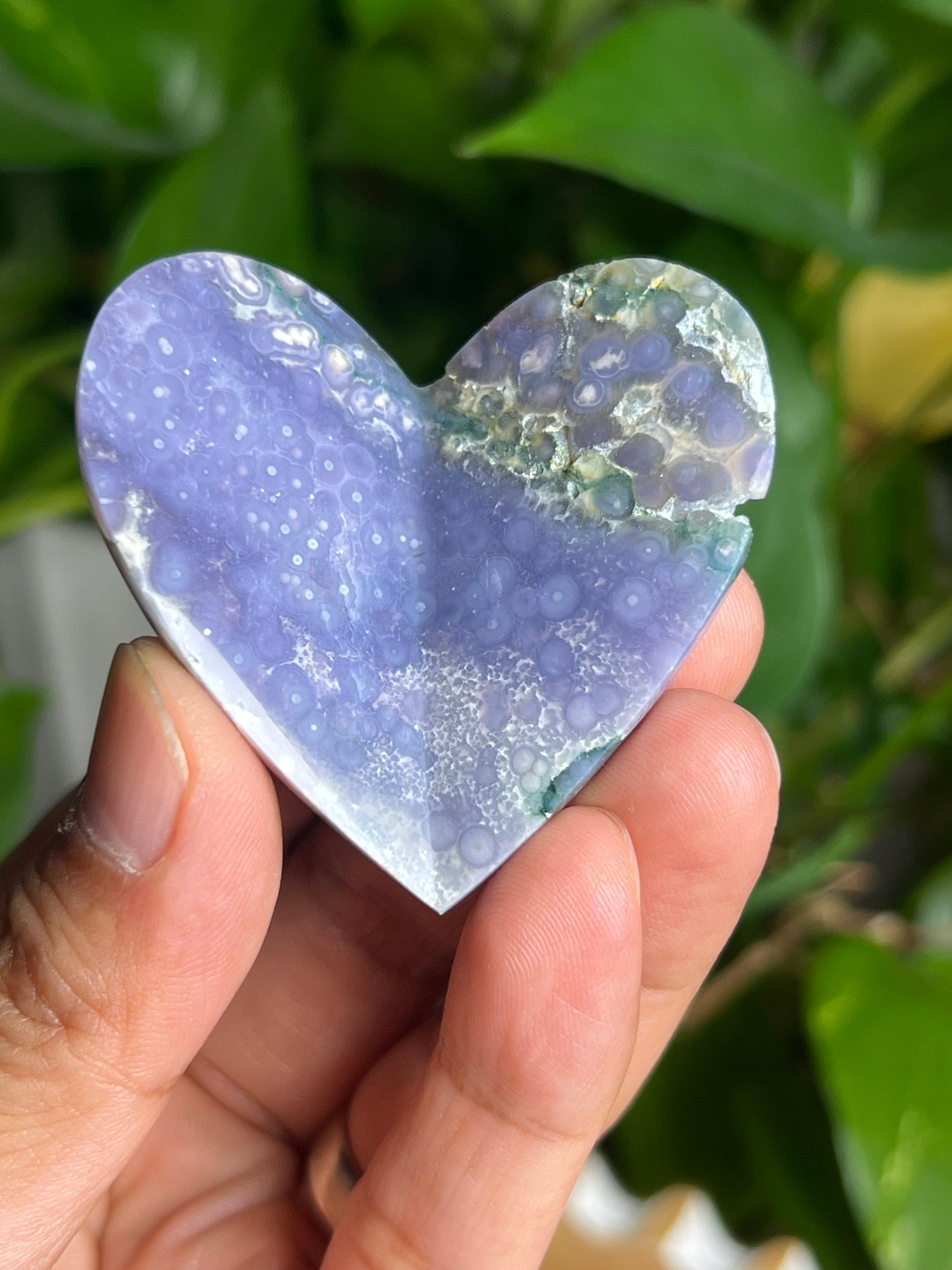Grape Agate 3D Butterfly BX