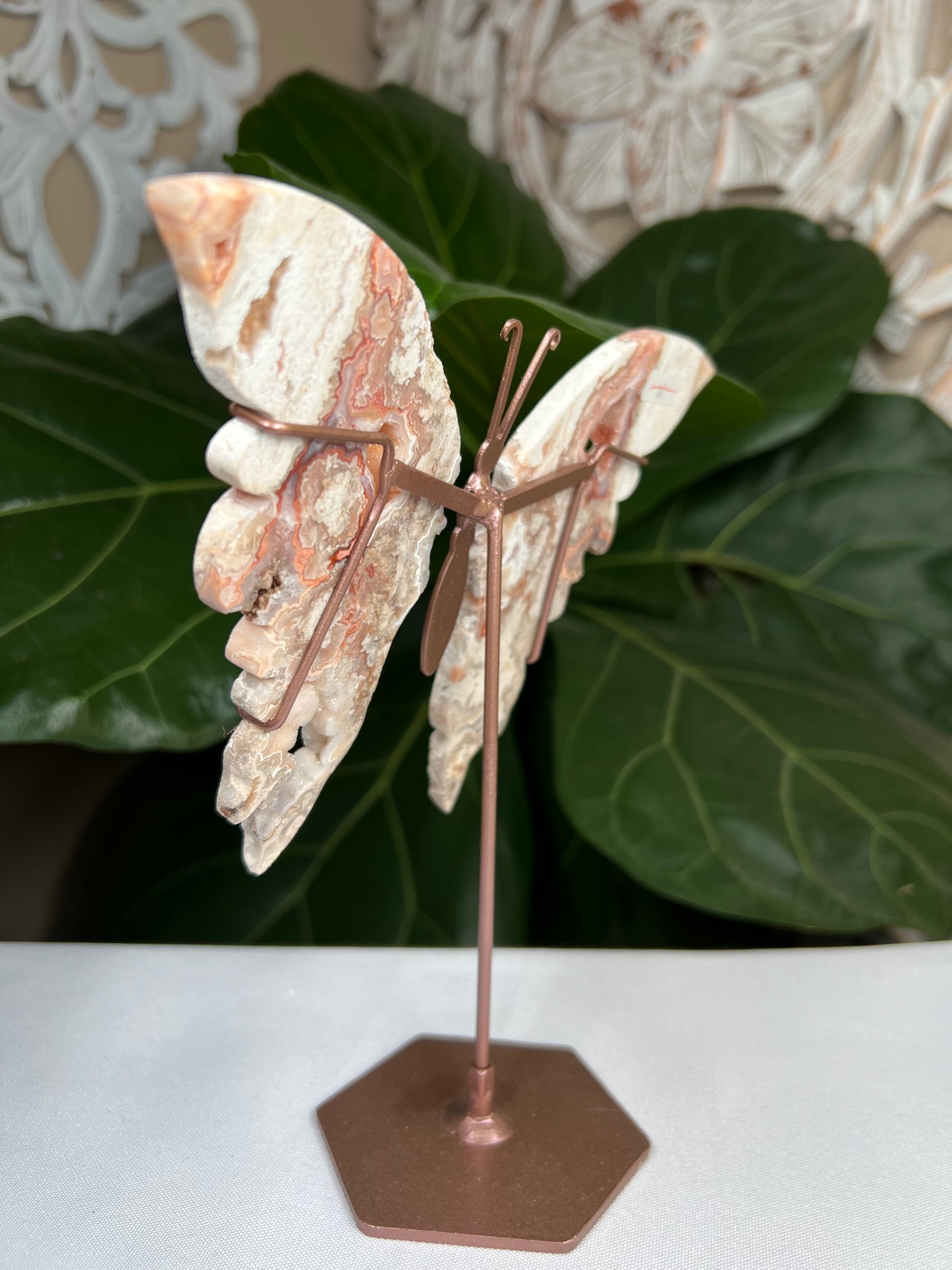Crazy Lace Agate Wings