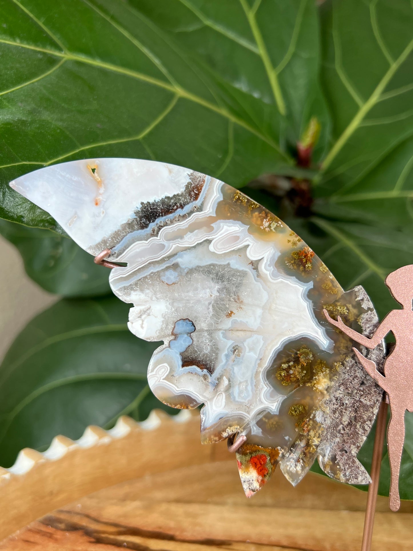 Scenic moss agate wings