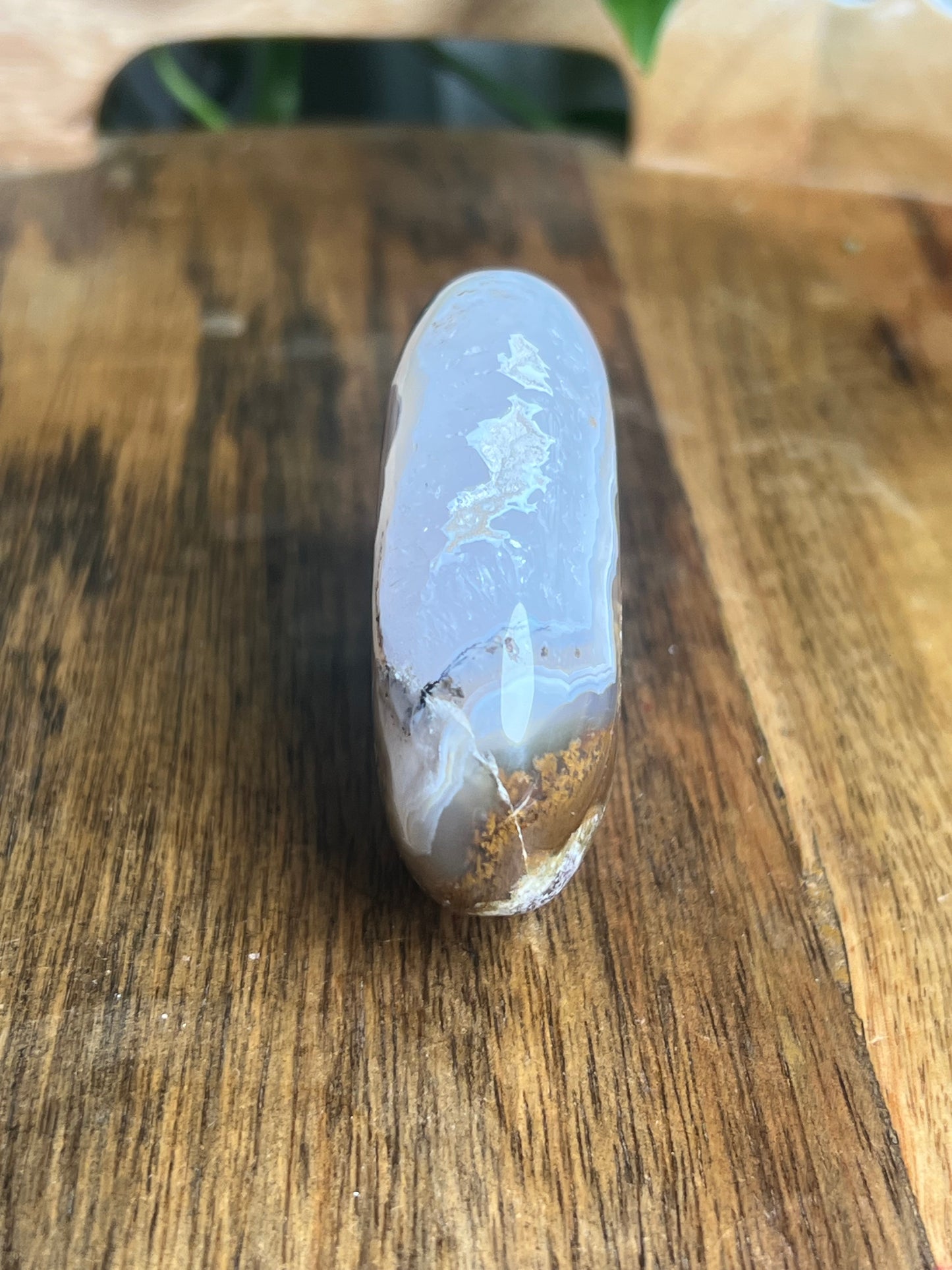 Scenic Moss Agate Bear BQ