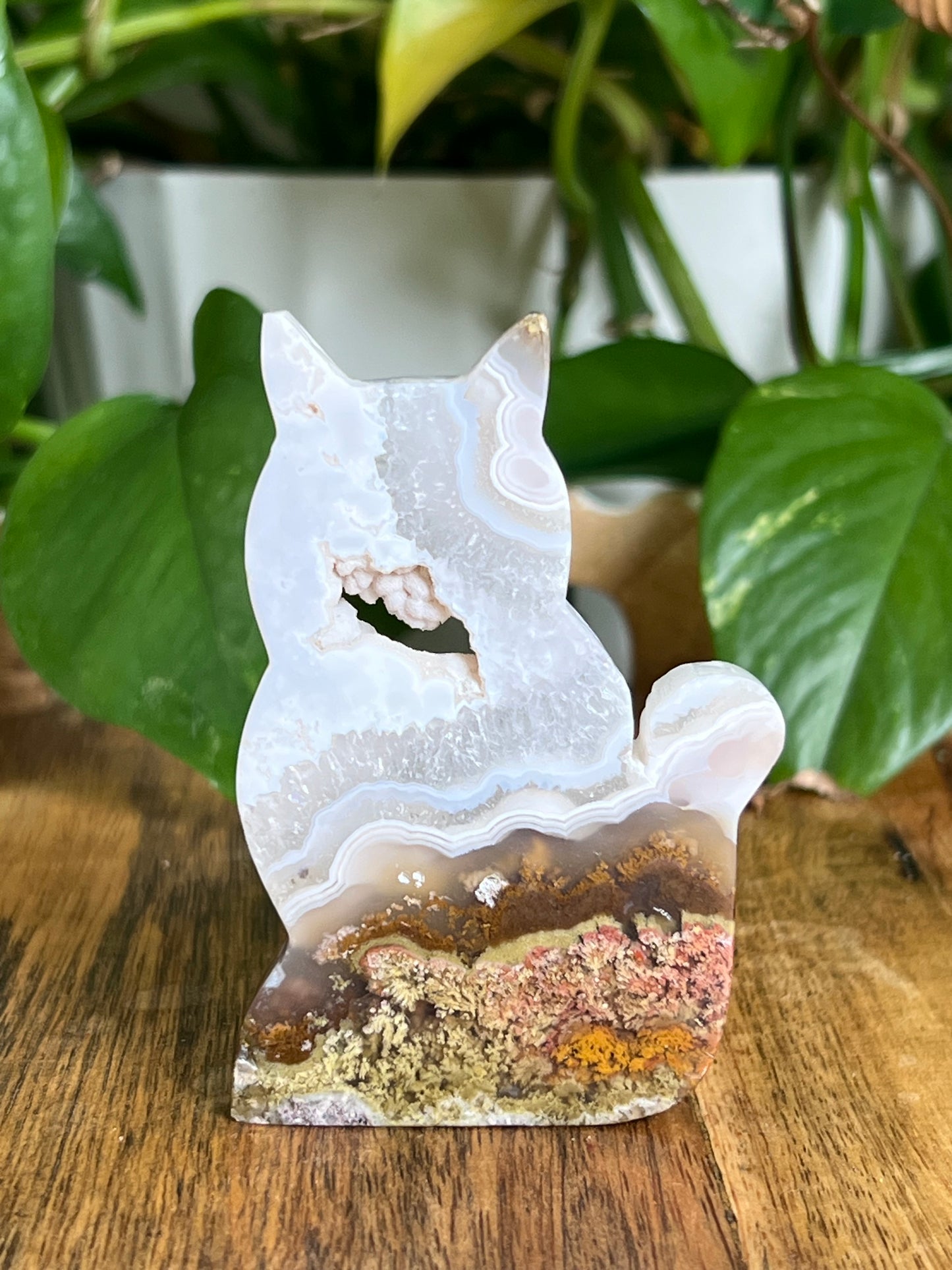Scenic Moss Agate Cat HQ
