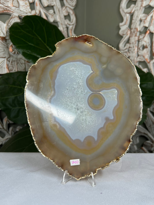 Brazilian Druzy Agate electroplated Gold