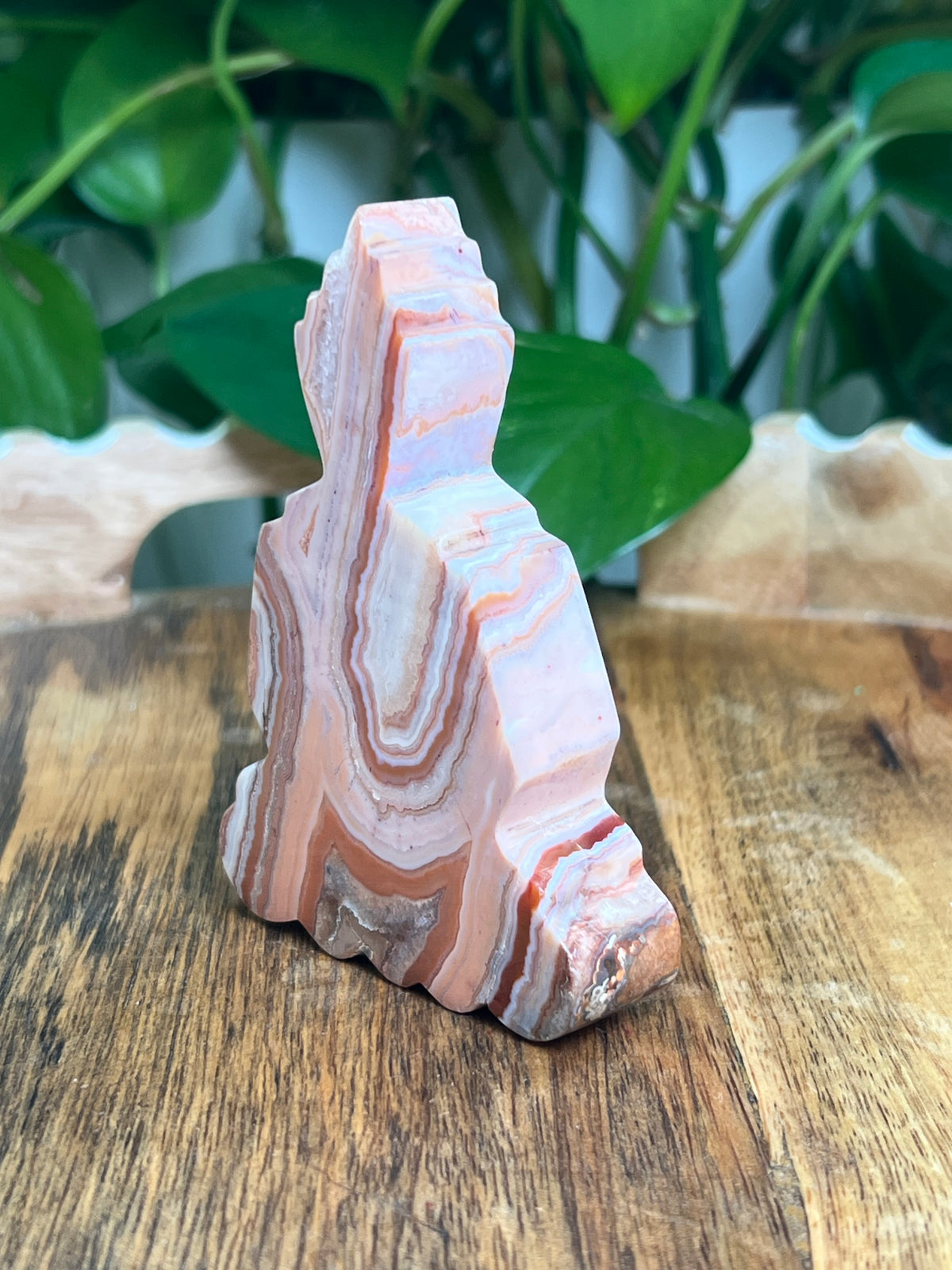 Crazy Lace Agate Buddha: D