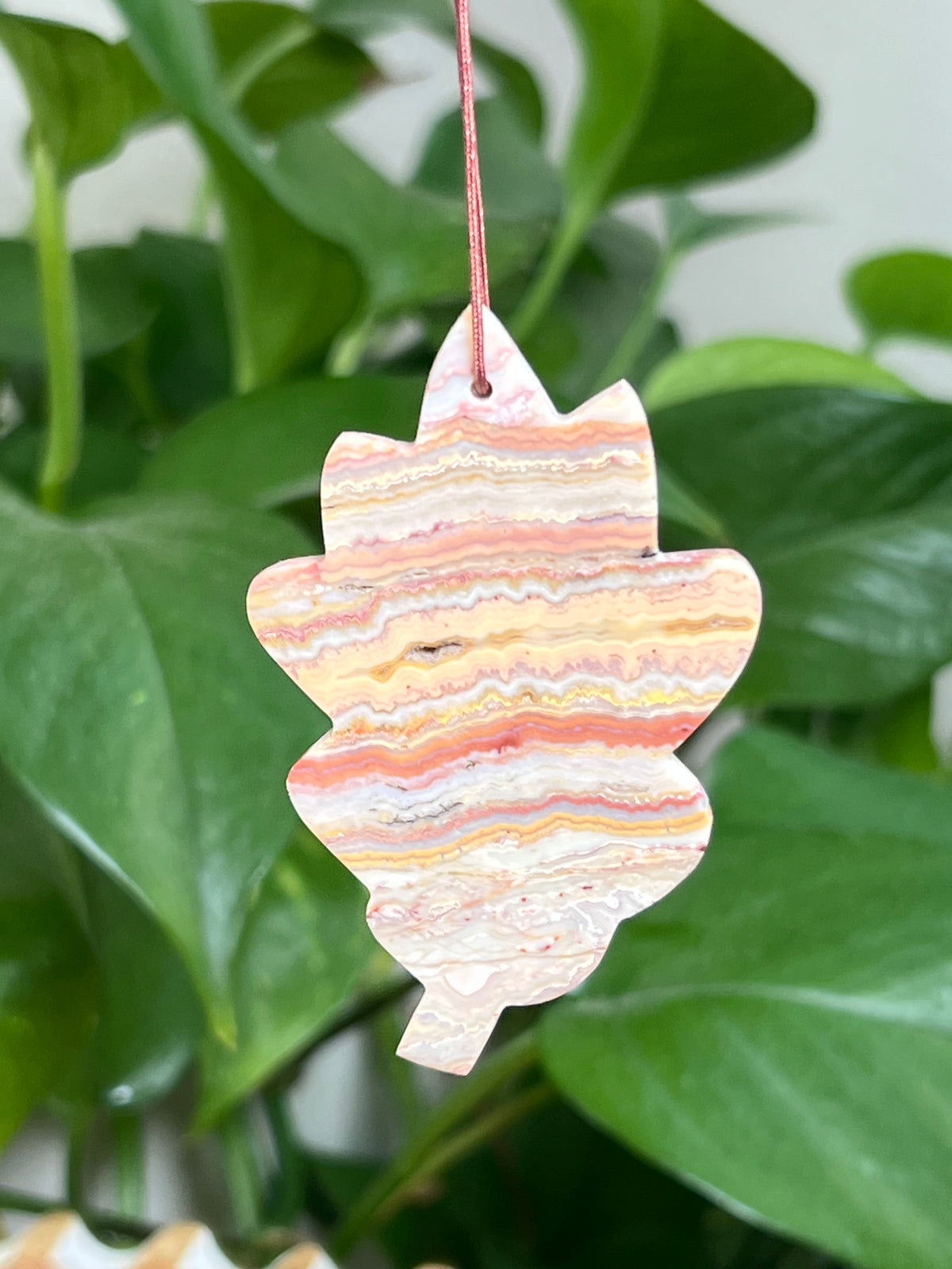 Crazy Lace Agate Ornament Leaf: BA