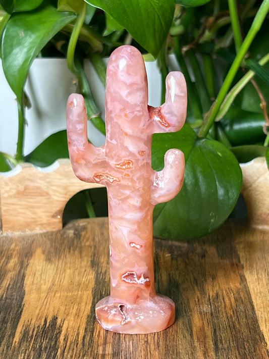 Pink Carnelian Cactus