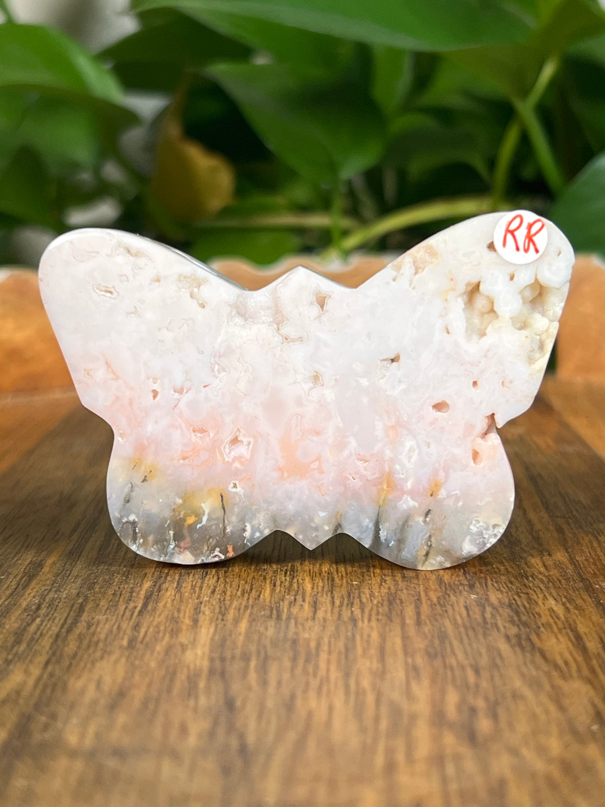 Rainbow Plume Agate Small Self Standing Butterflies