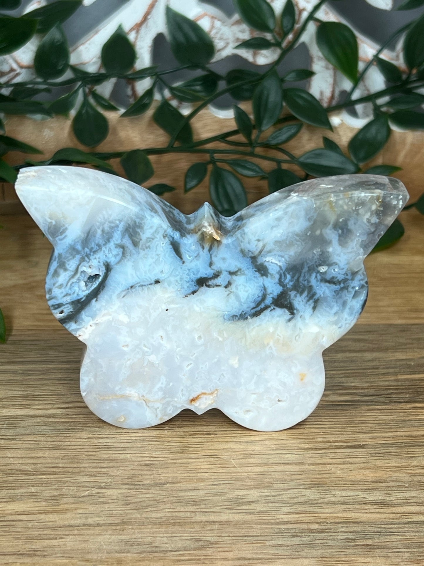 Rainbow Plume Agate Butterfly