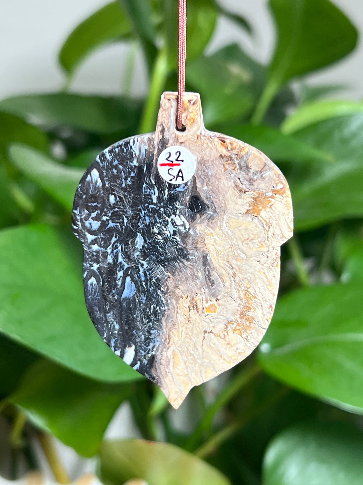 Palm Root Ornament Acorn: SA
