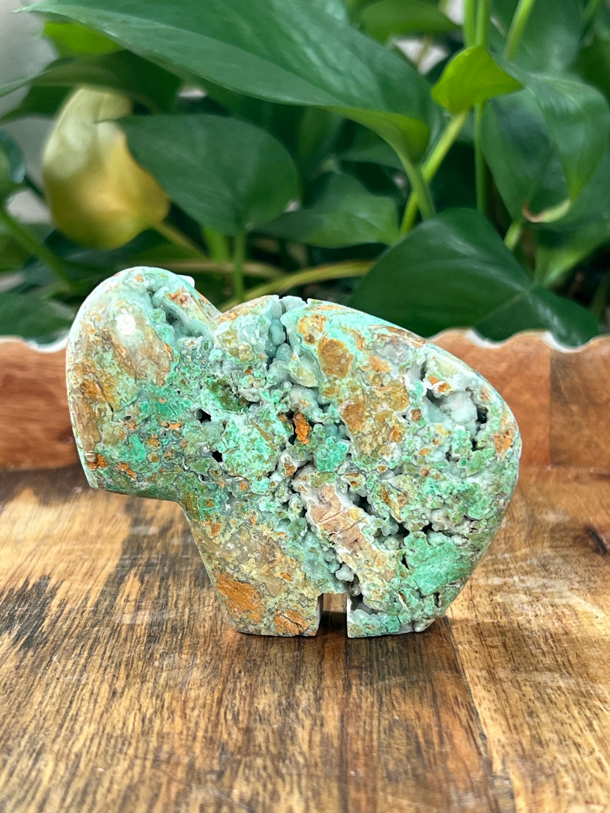Smithsonite Buffalos