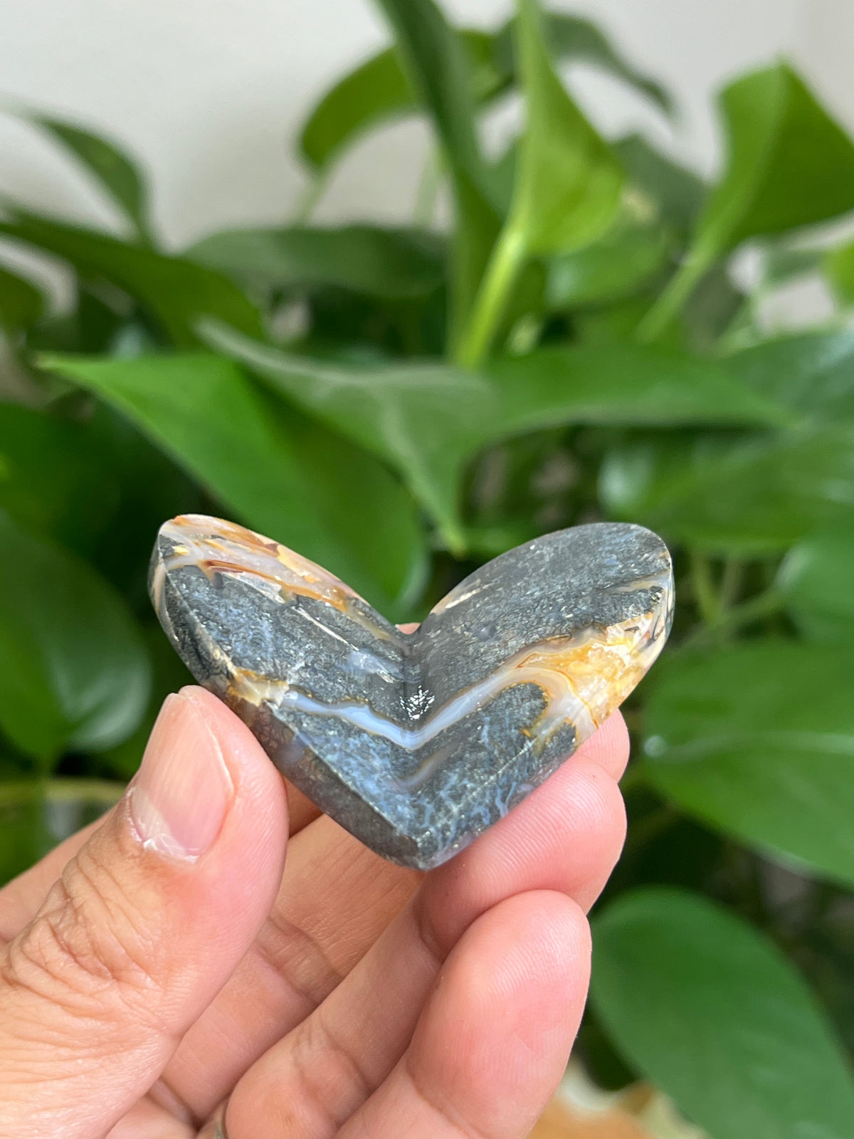 Marcasite 3D Butterfly Heart: TA