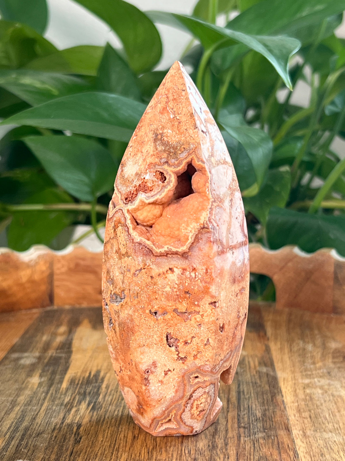 Crazy Lace Agate Bullets