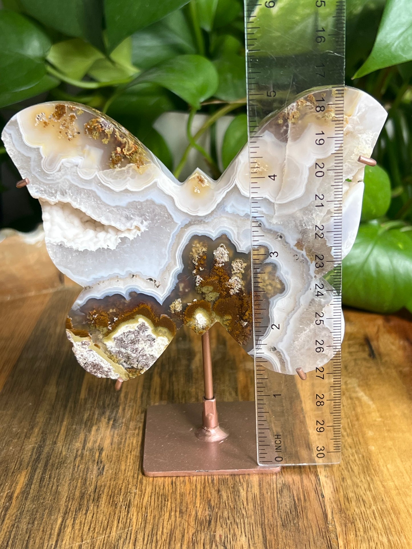 Scenic Moss Agate Butterfly
