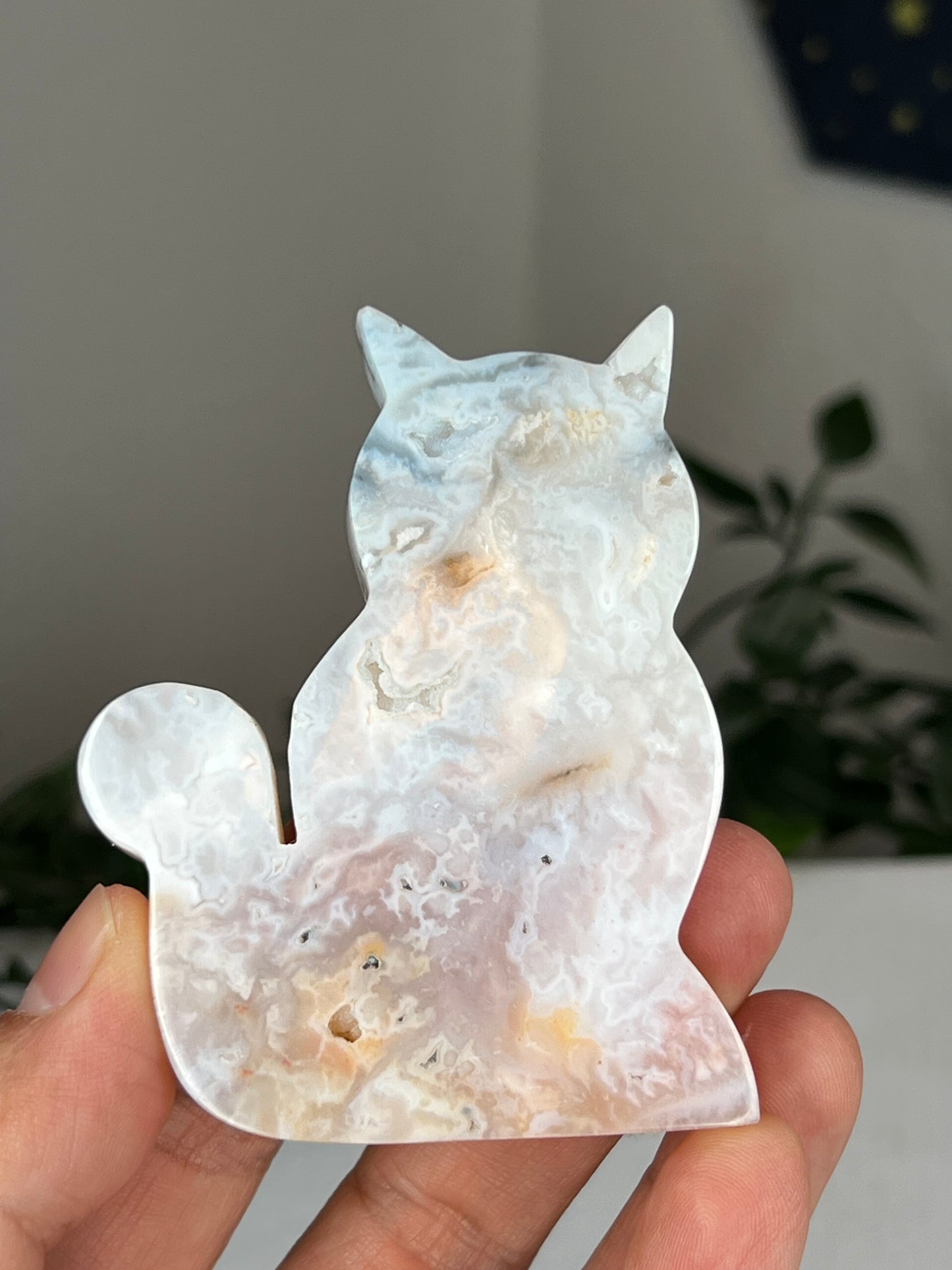 Rainbow Plume Agate Cat