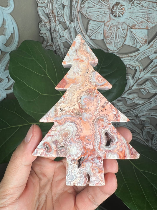 Crazy Lace Agate Tree