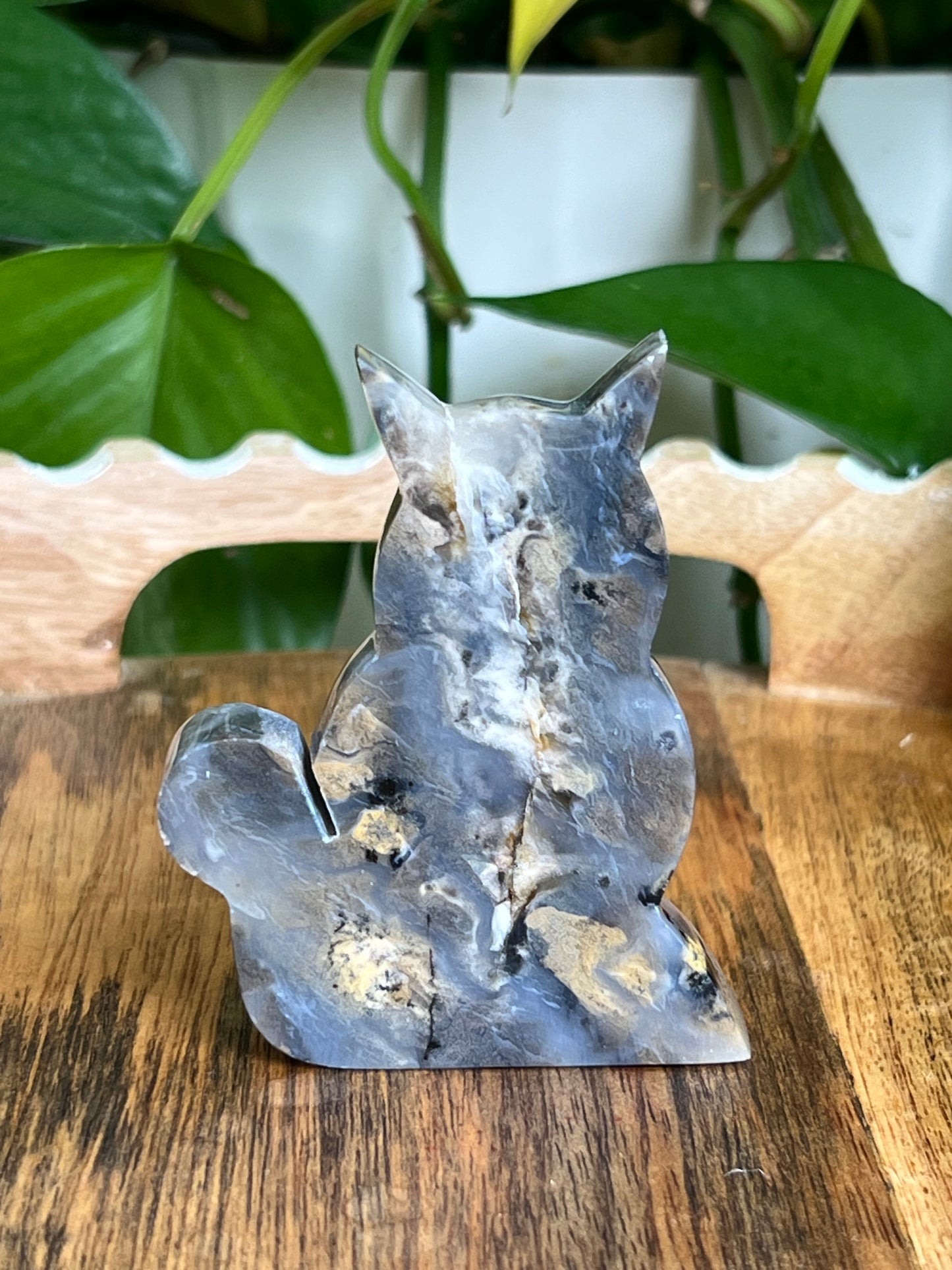 Dendritic Tiger Agate Cat AB