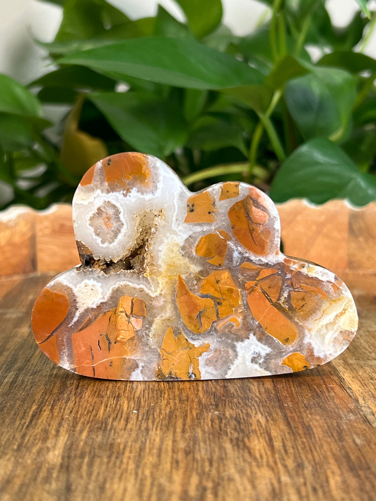 Brecciated Jasper Clouds