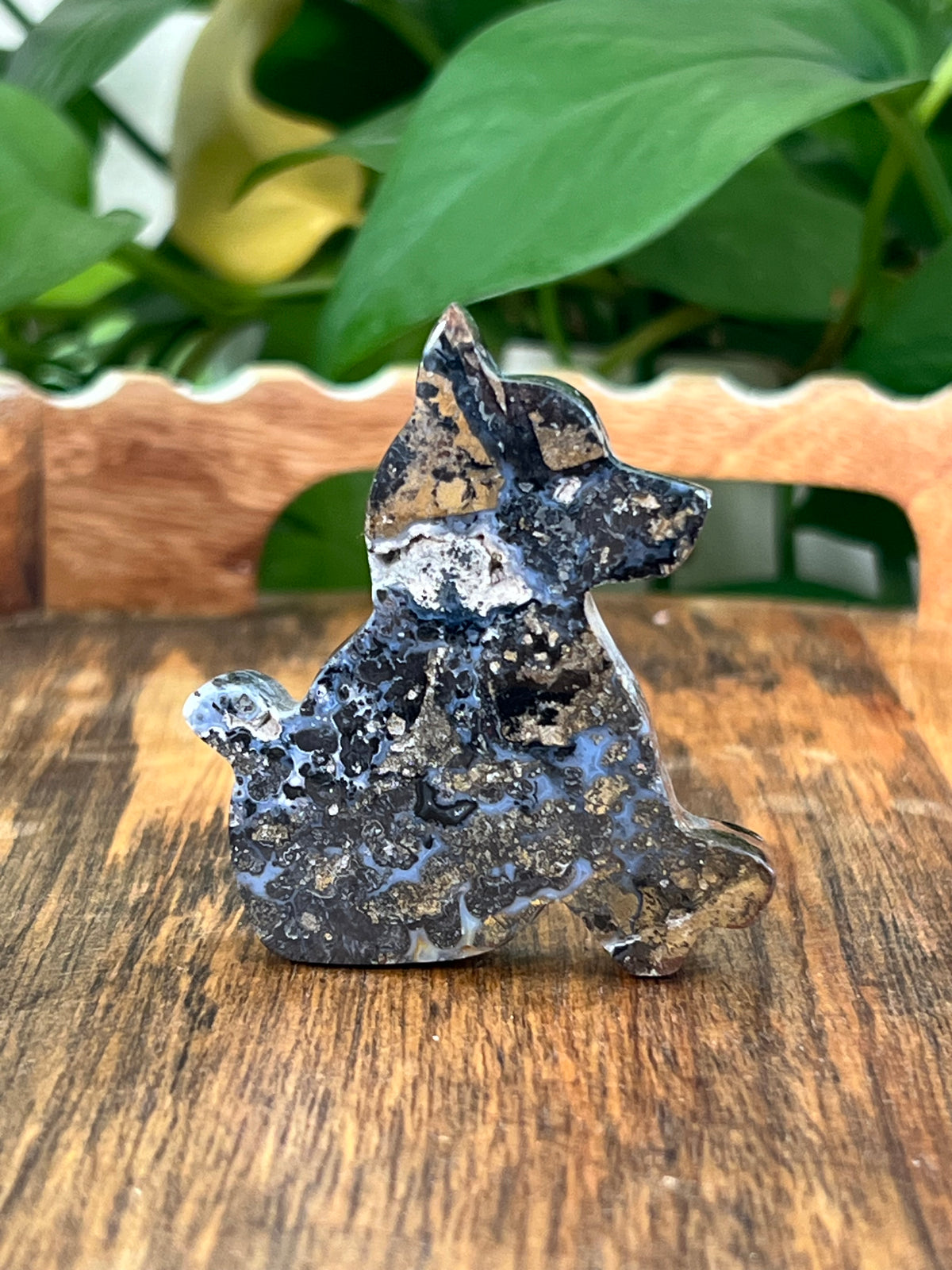 Moody Brecciated Jasper Dogs