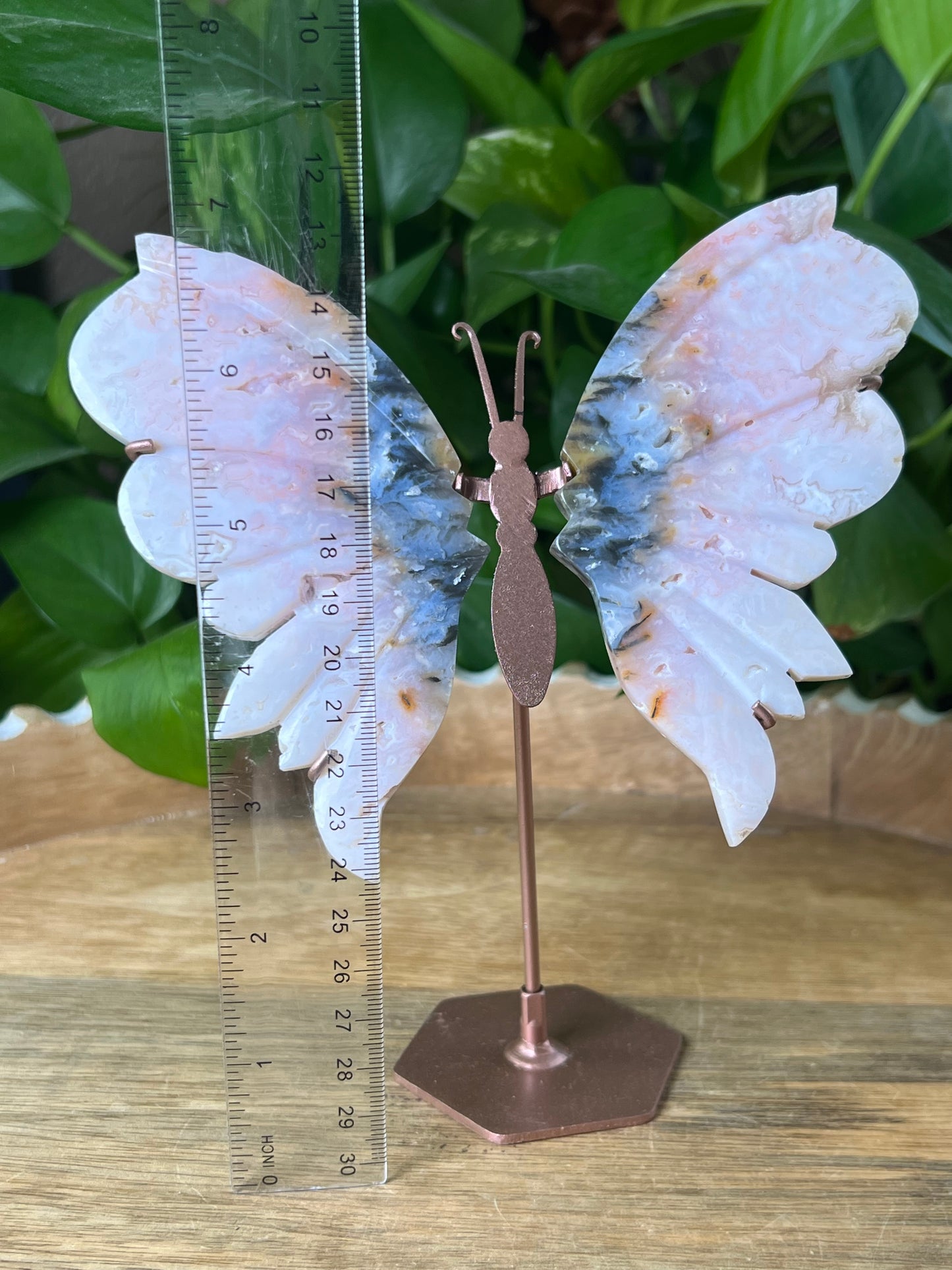 Rainbow Plume Agate Wings