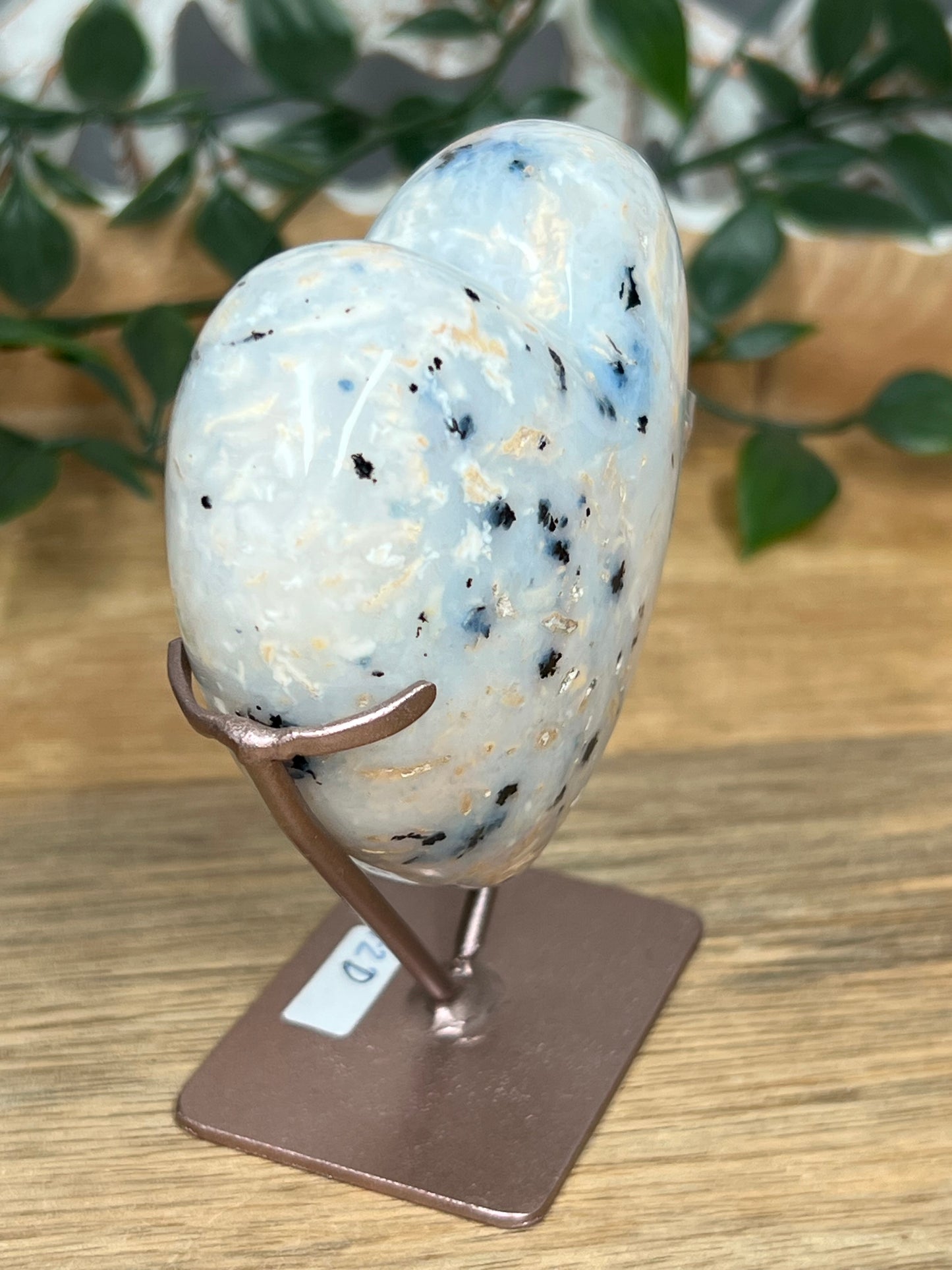 Dendritic Tiger Agate Heart