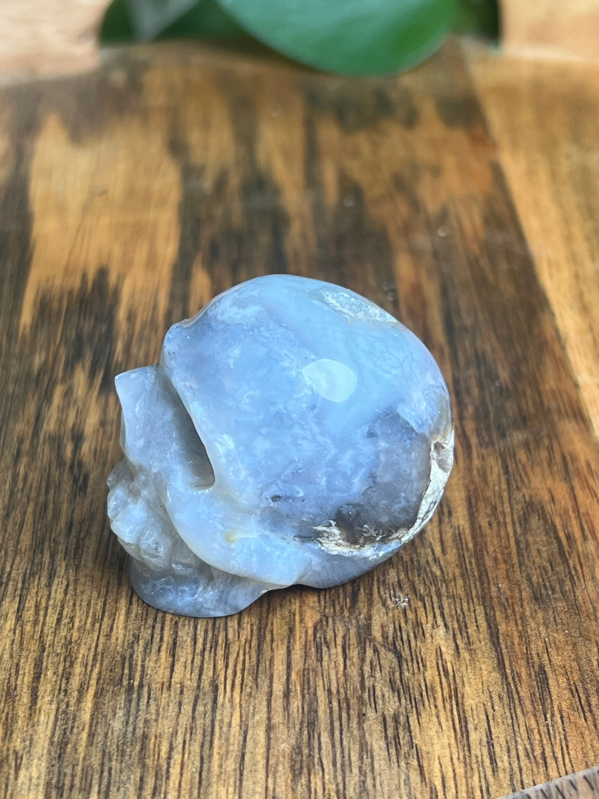 Blue Plume Agate Skull: G