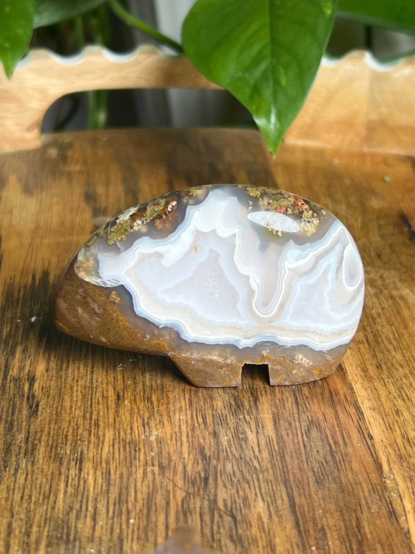 Scenic Moss Agate Bear HF