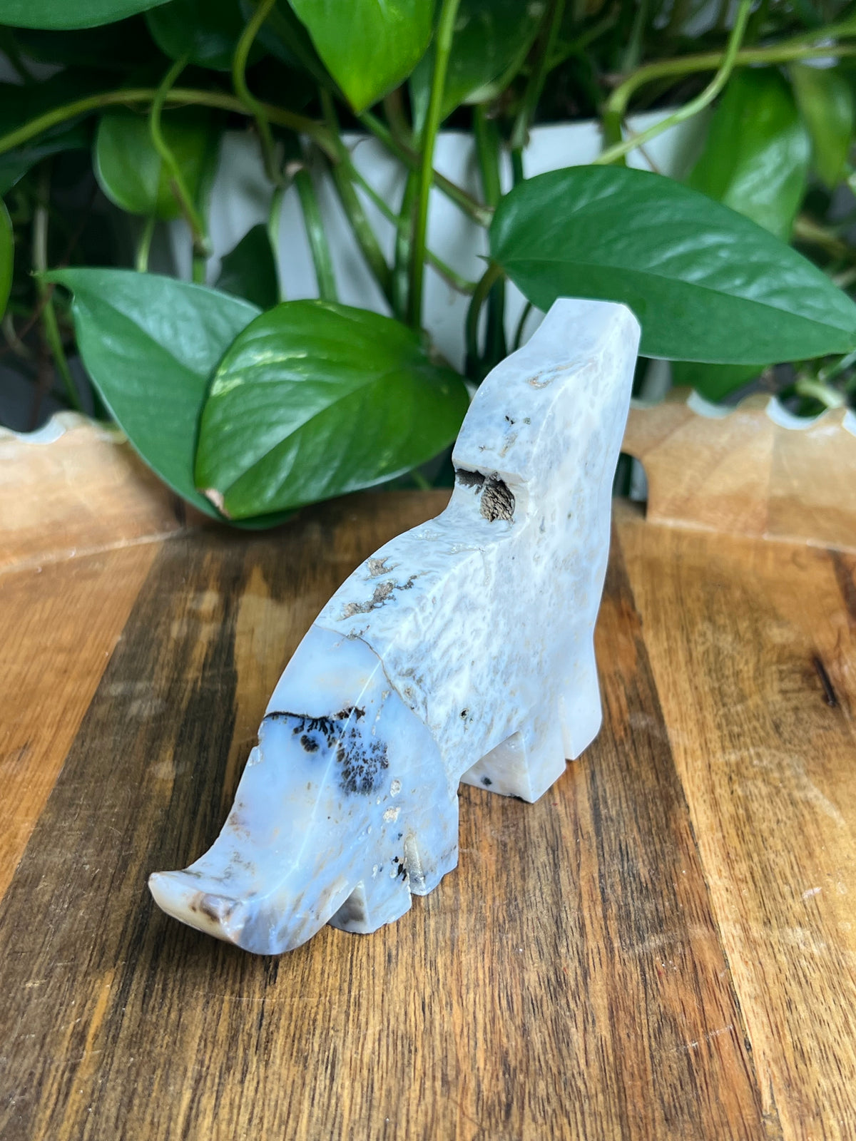Dendritic Tiger Agate Wolf: K