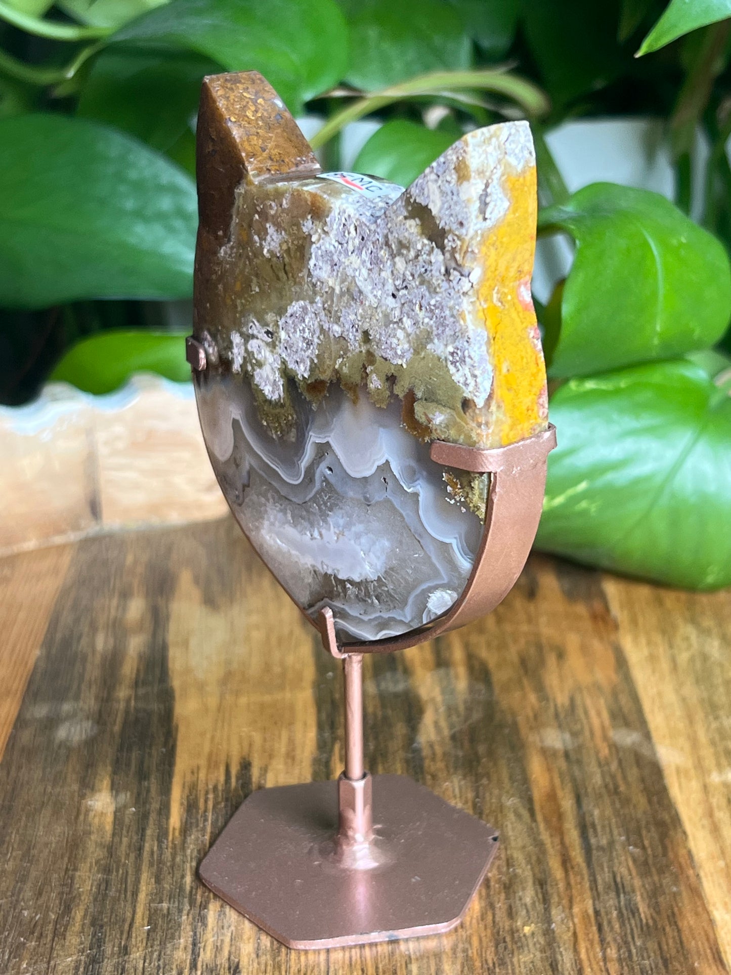 Scenic Moss Agate Cat Head