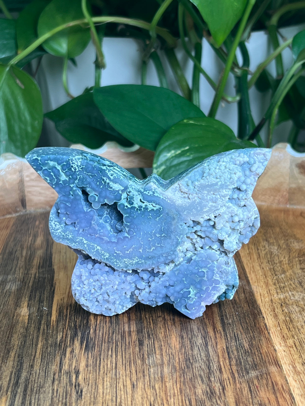 Grape Agate Butterfly: D
