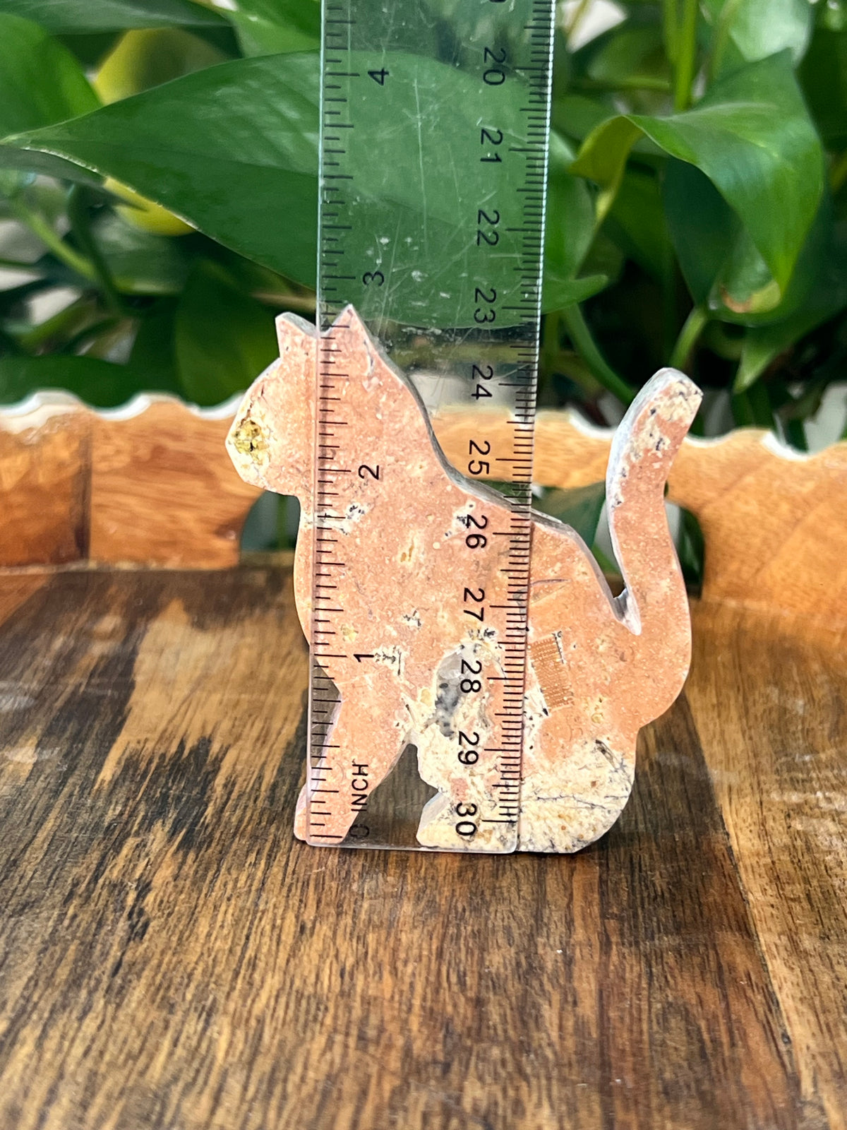 Peachy Pink Dendritic Jasper Cats