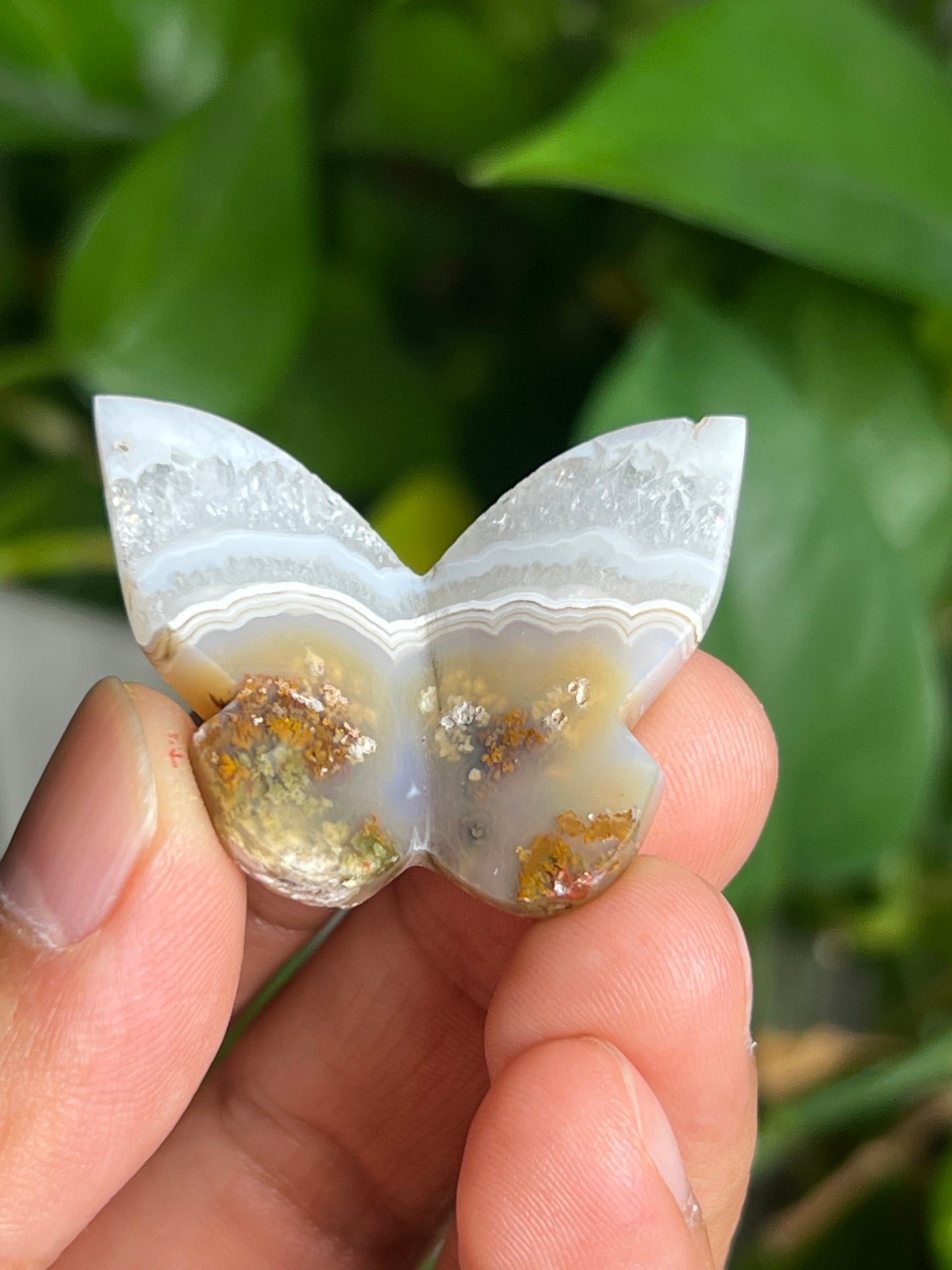 Scenic Moss Agate 3D Butterfly A