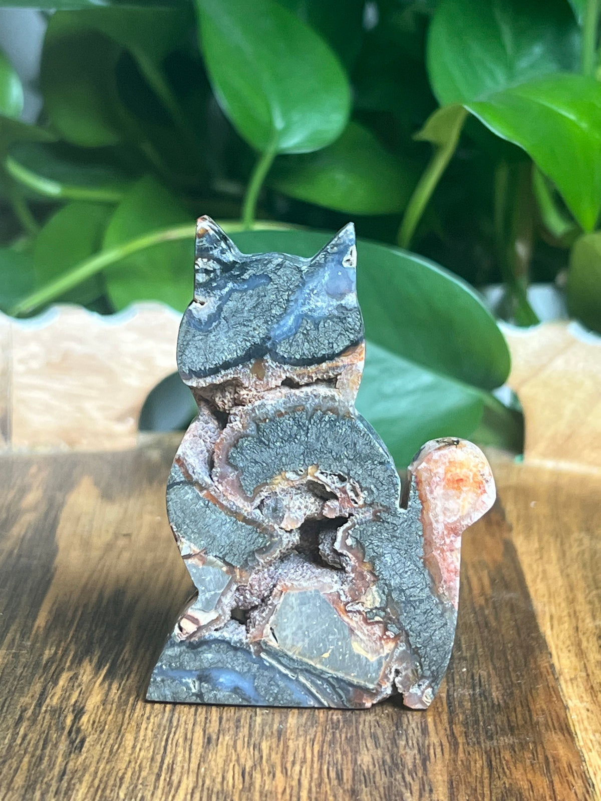 Marcasite Cat: DQ